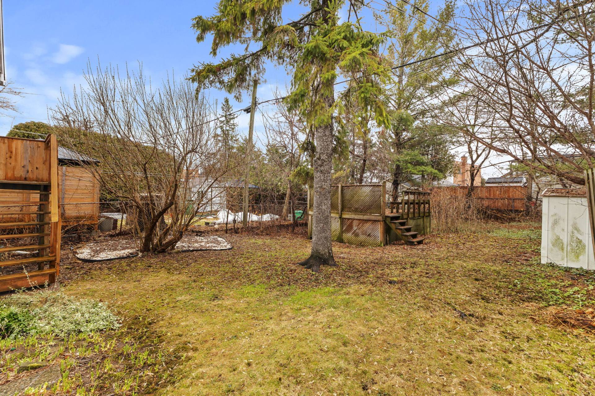 Backyard
