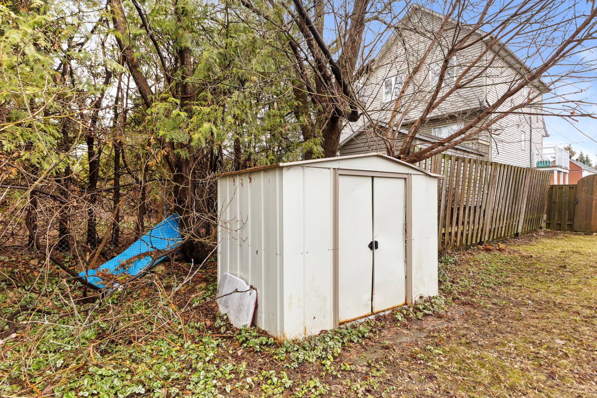Shed