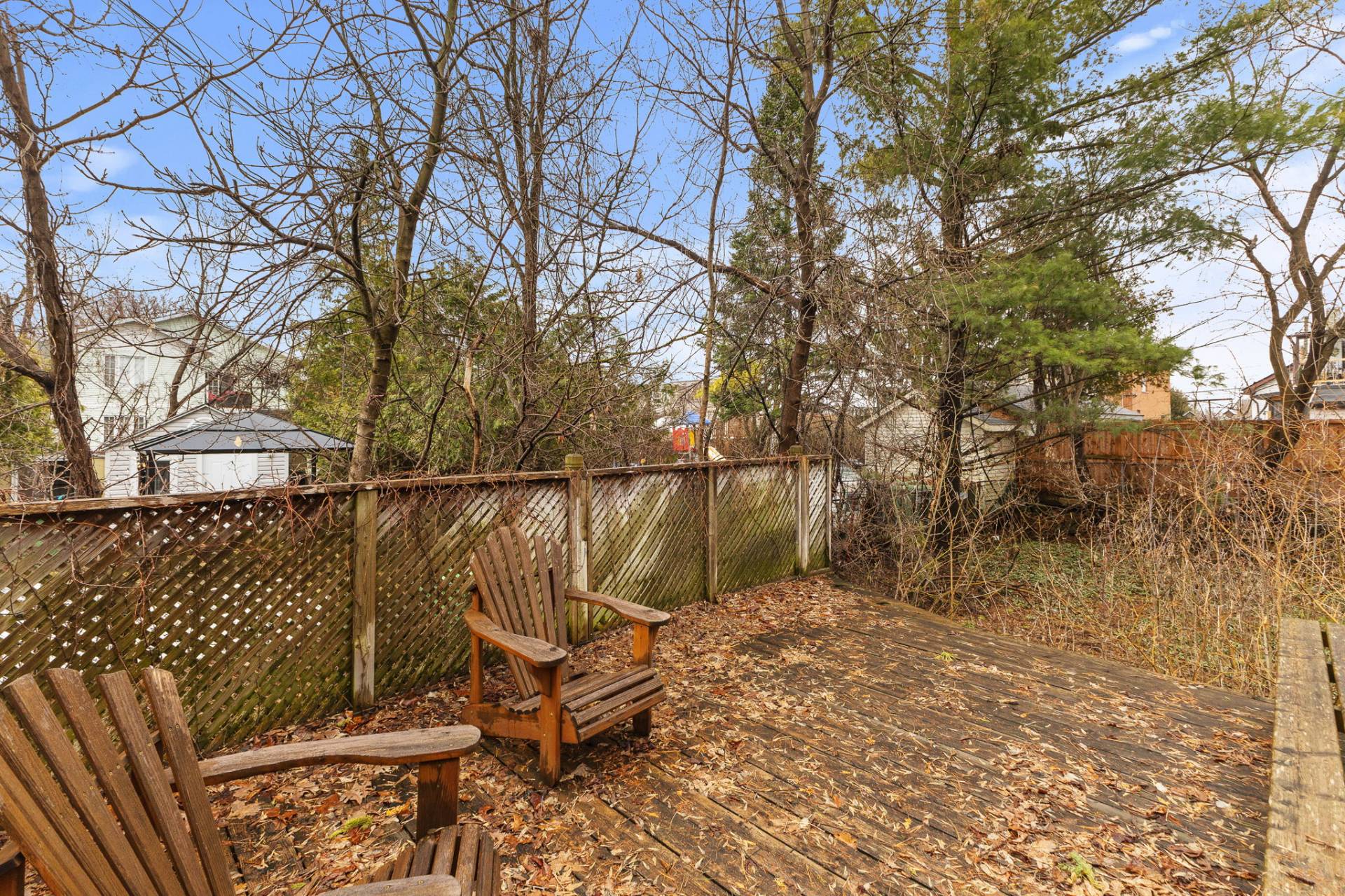 Backyard