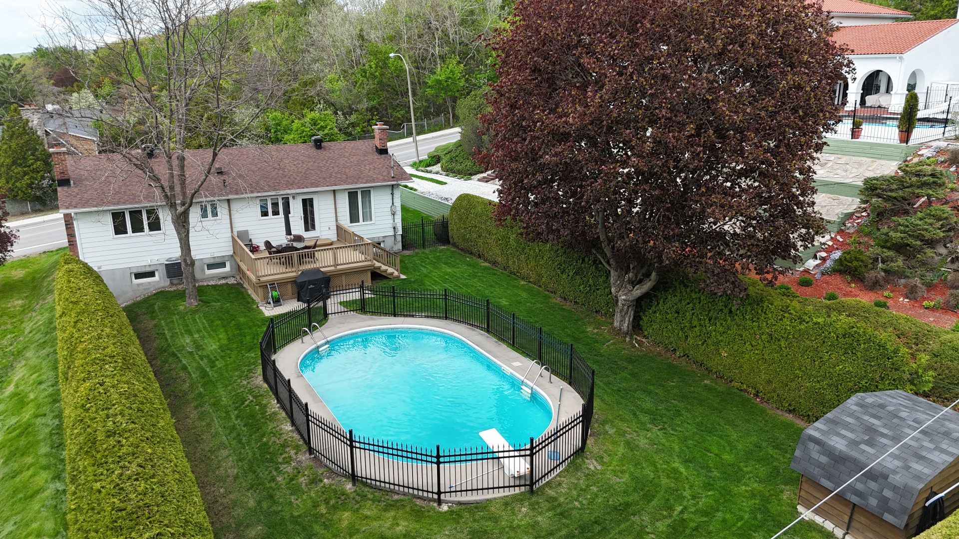 Backyard