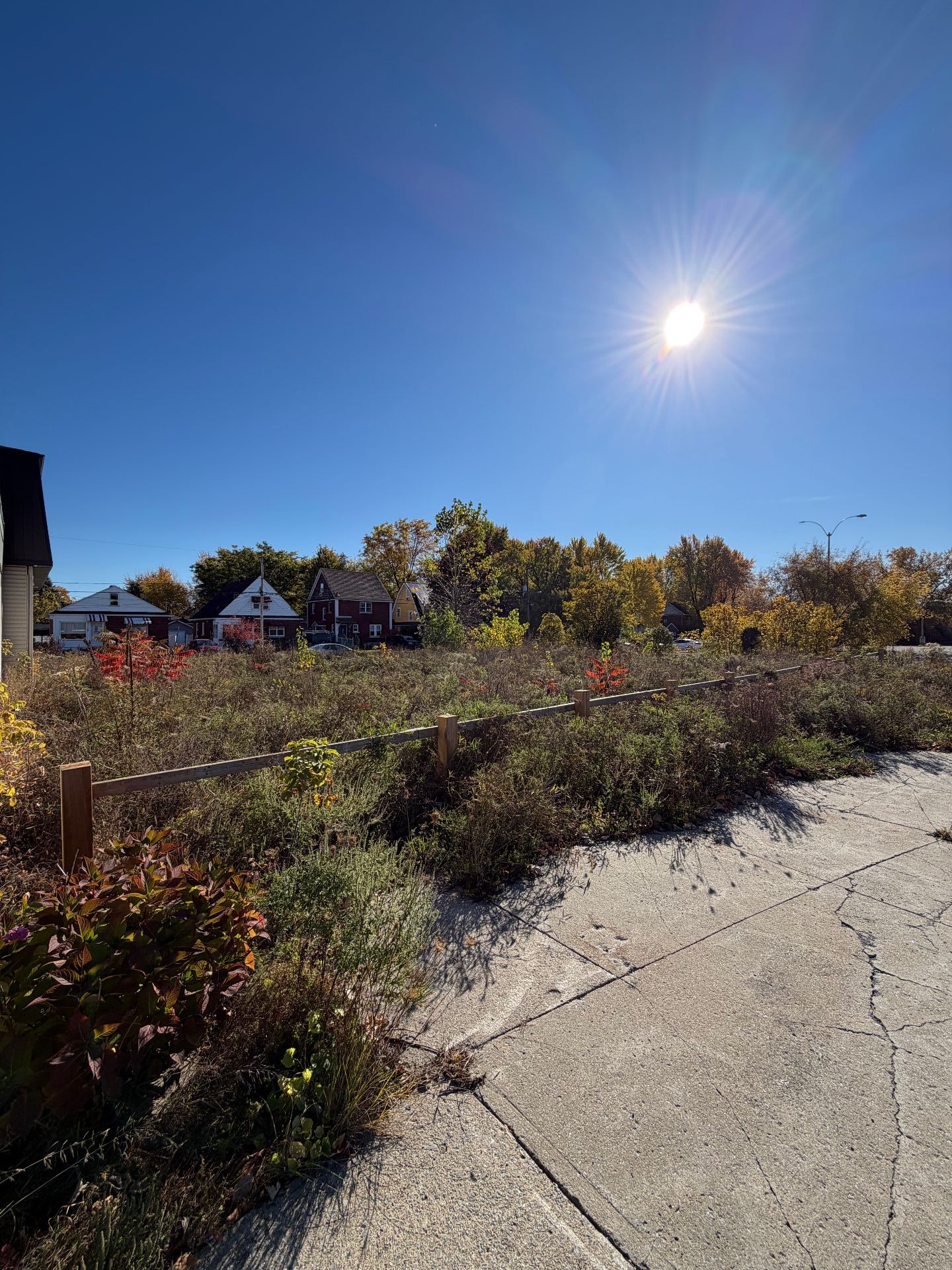 Land/Lot