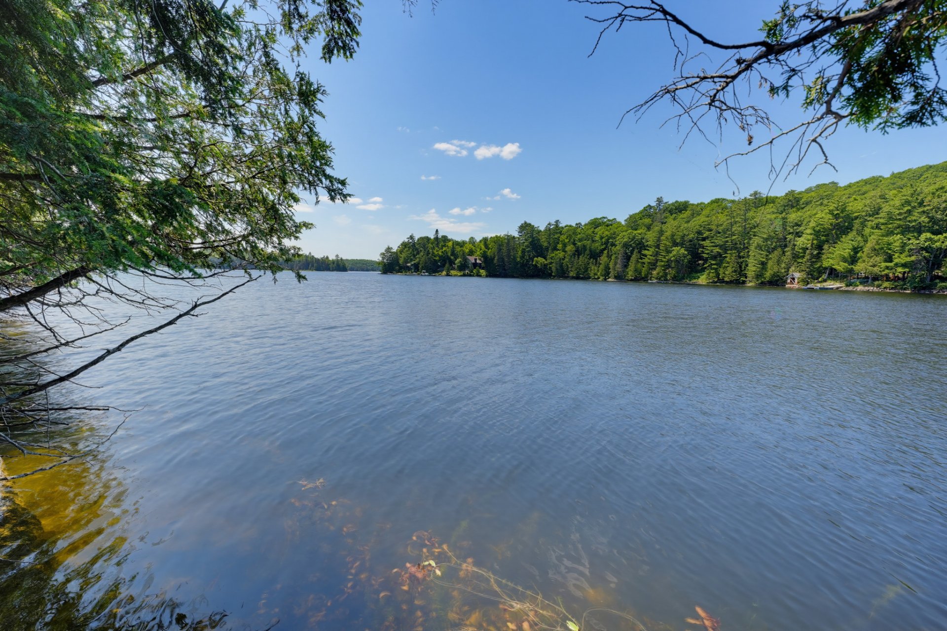 Bord de l'eau