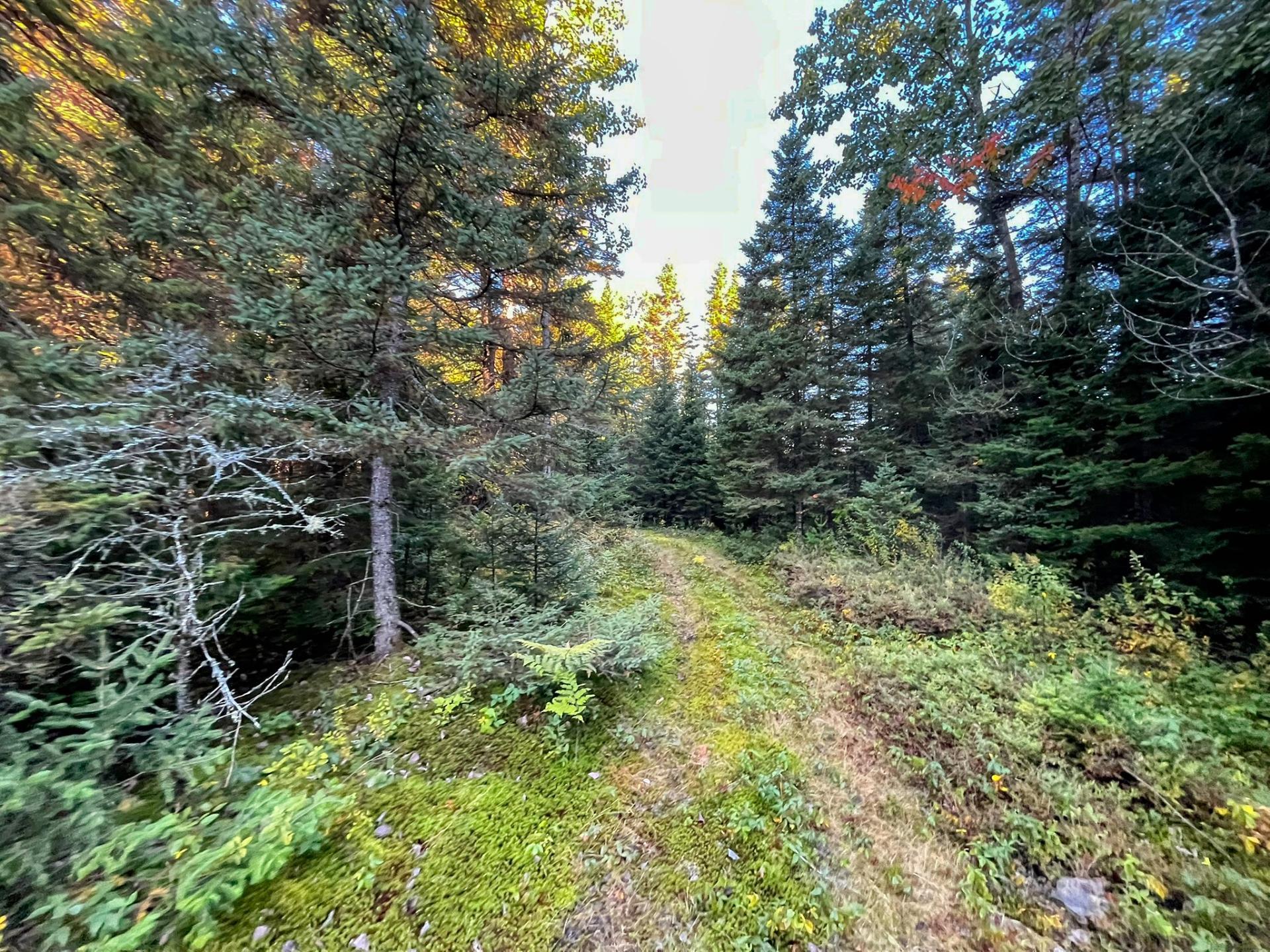 Land/Lot