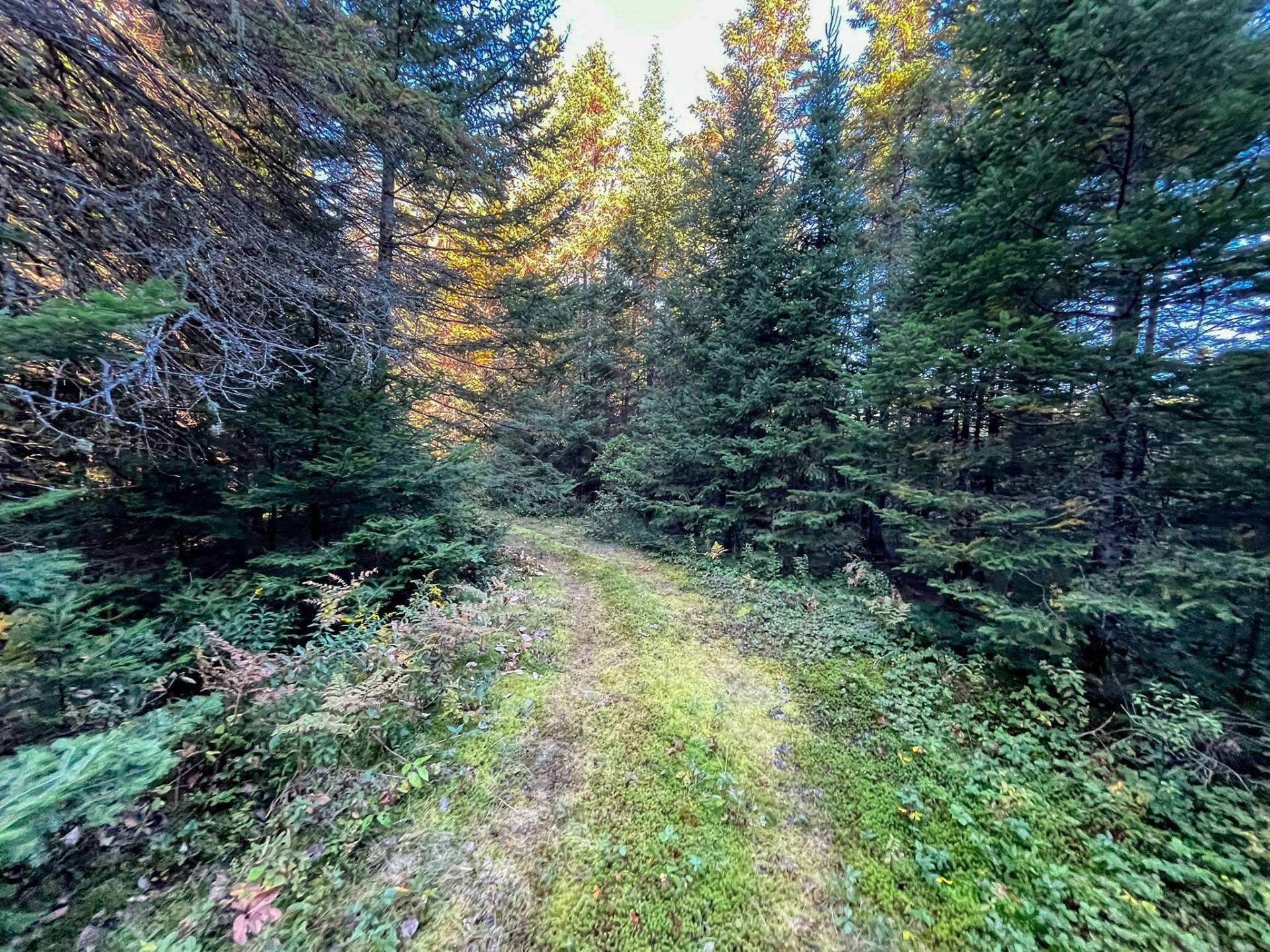 Land/Lot