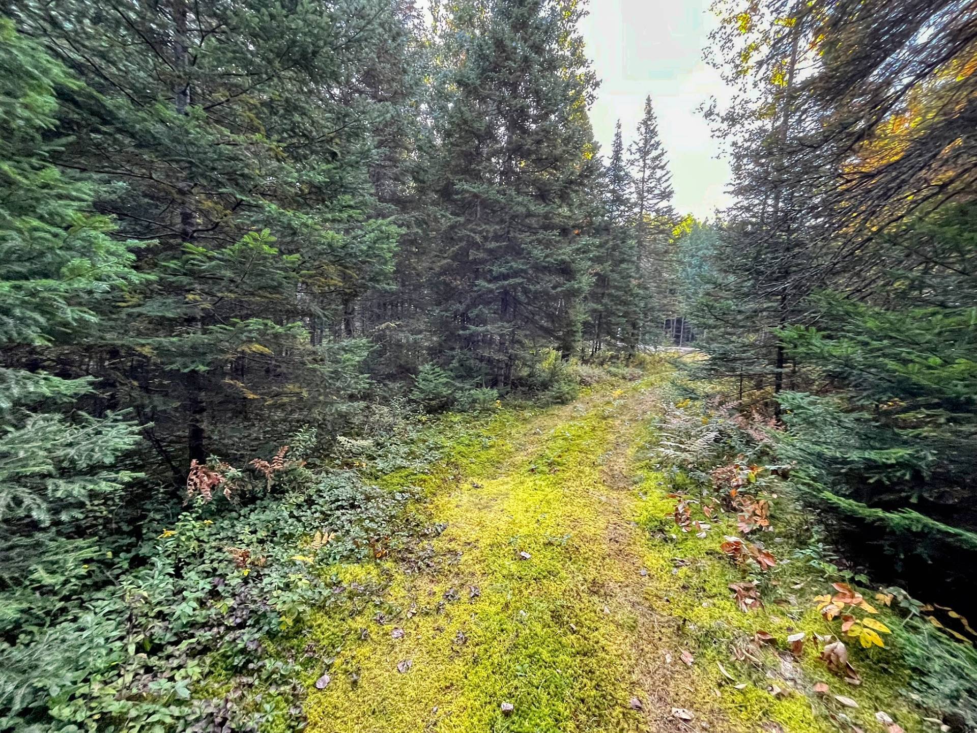 Land/Lot