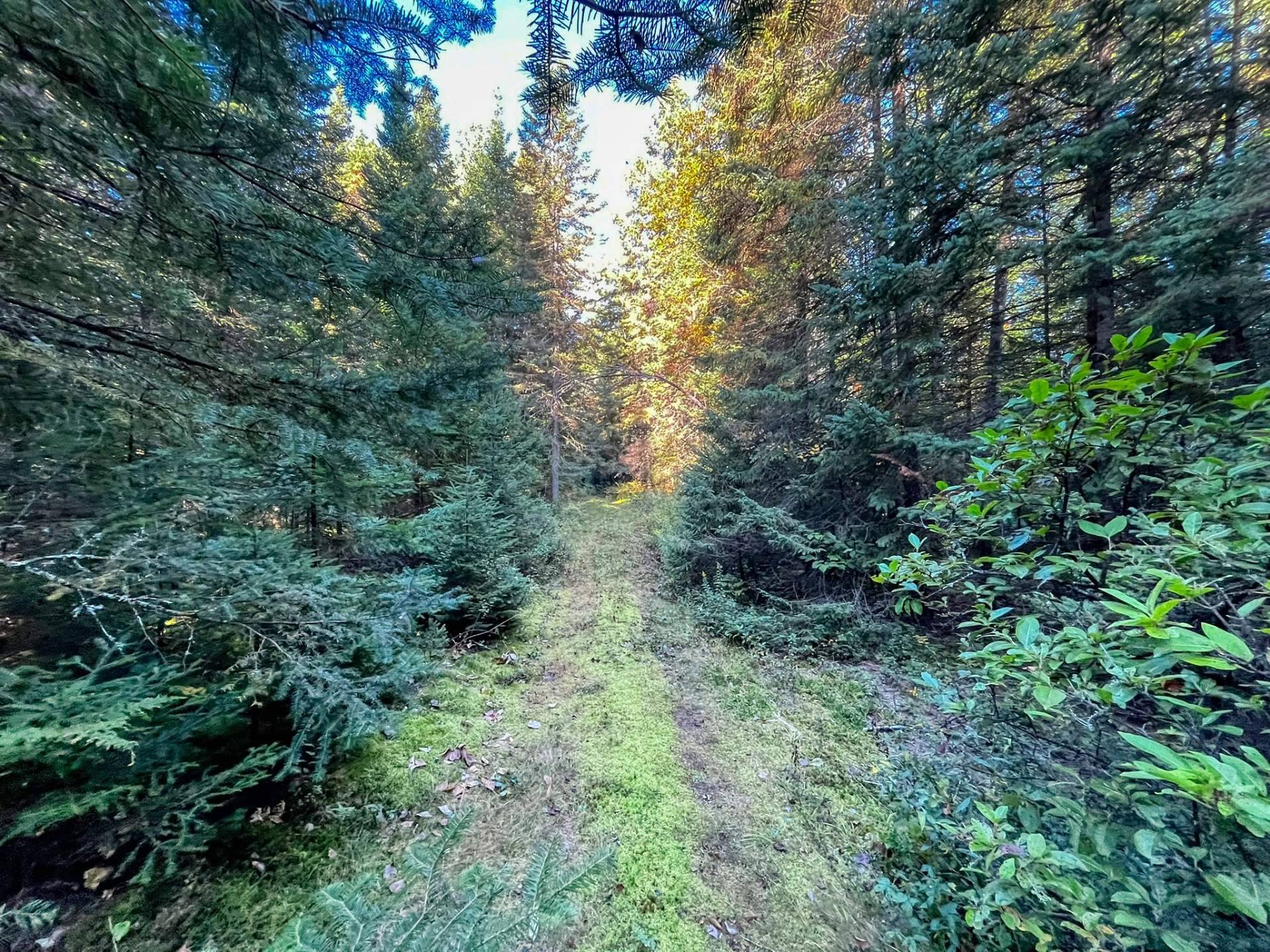 Land/Lot
