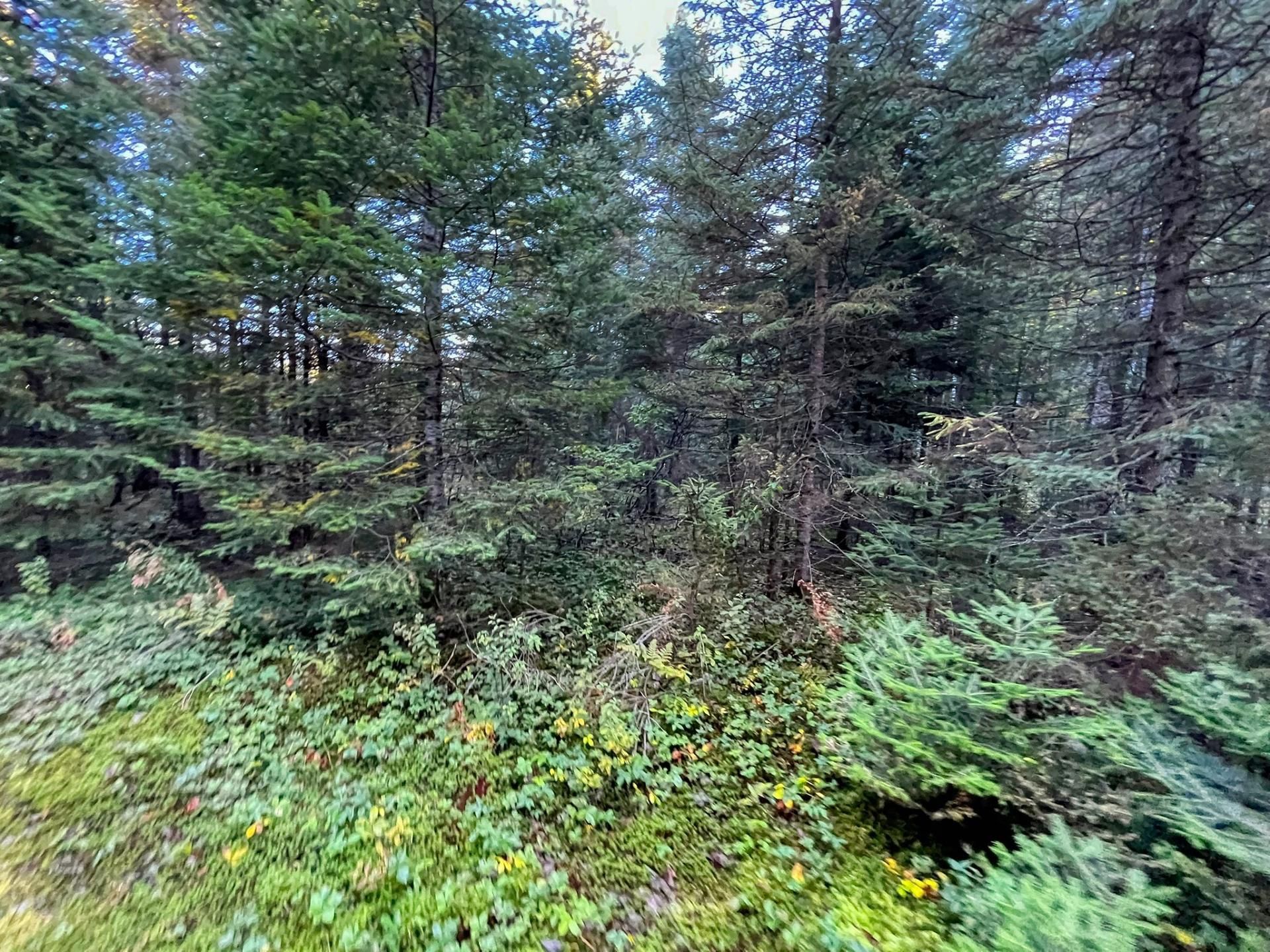 Land/Lot