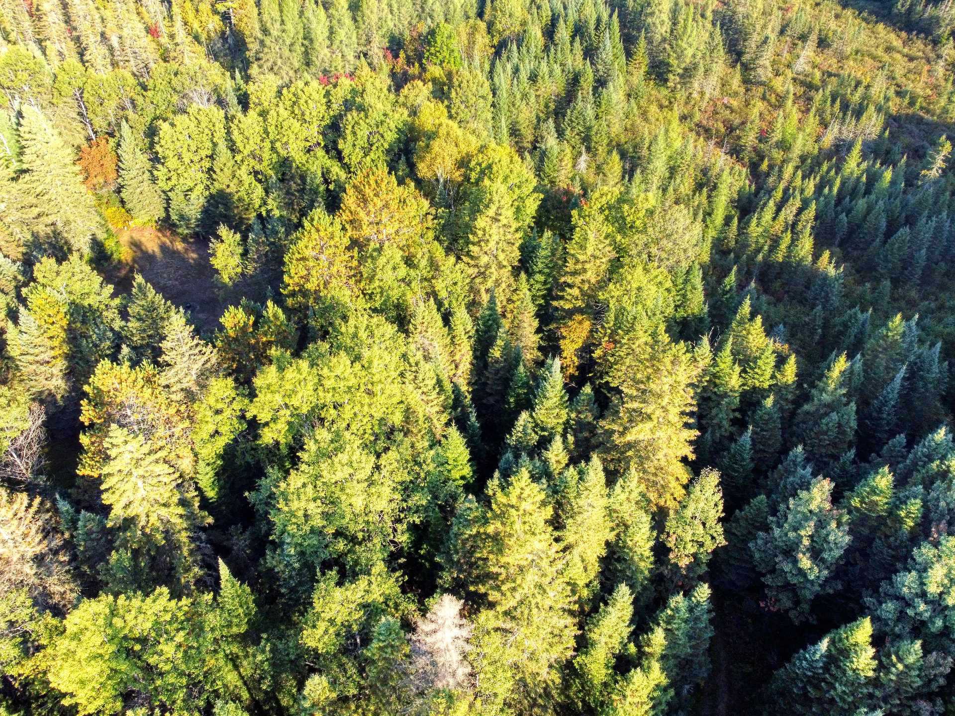 Aerial photo