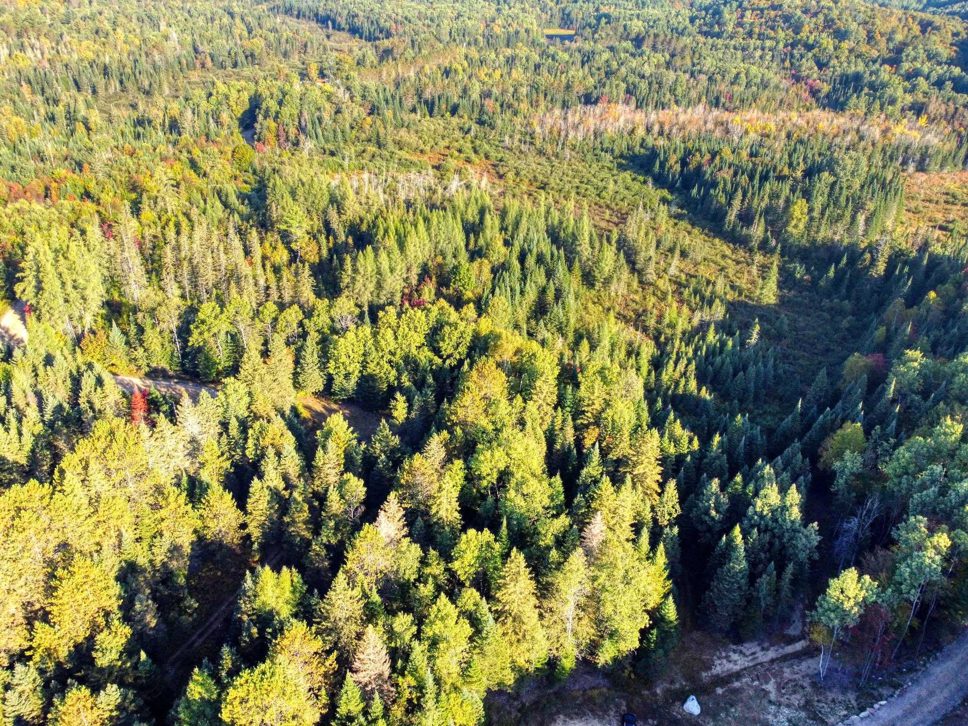 Aerial photo