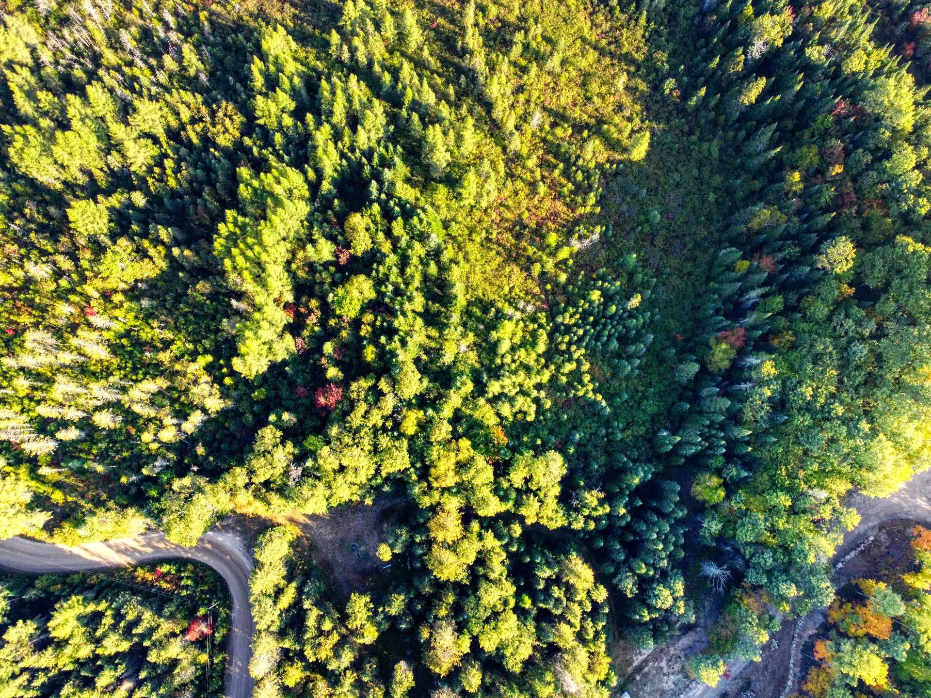Aerial photo