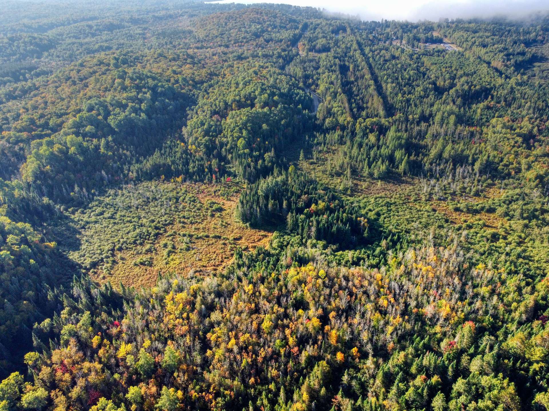 Aerial photo