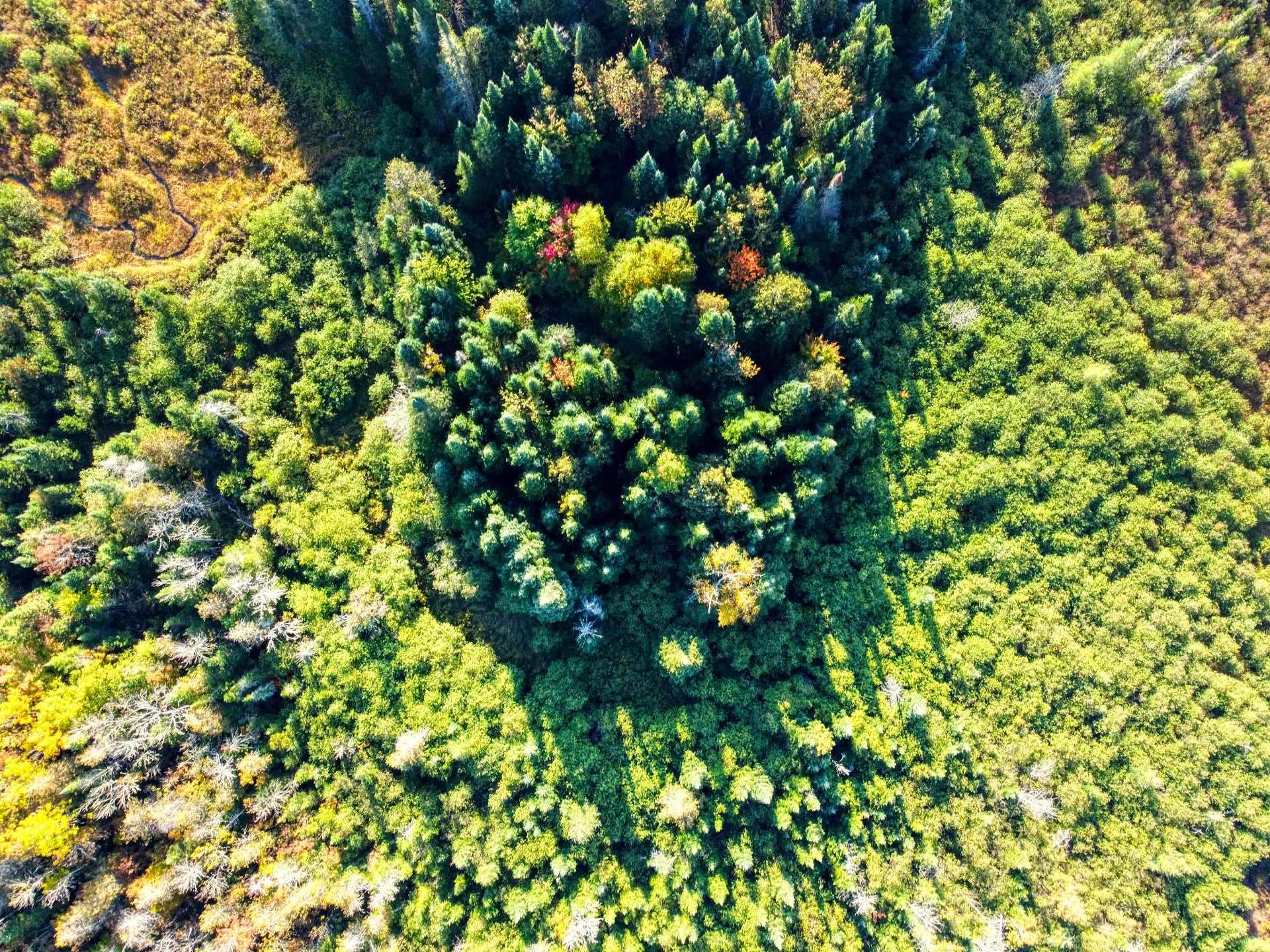 Aerial photo