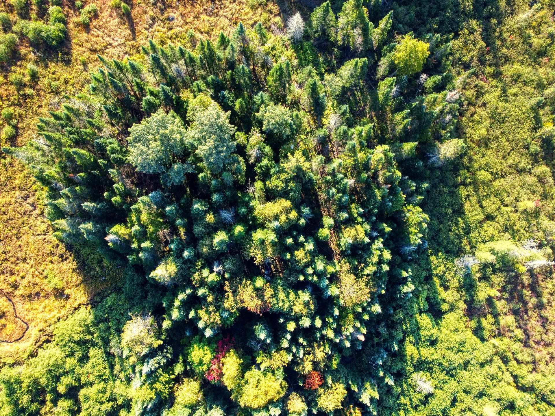 Aerial photo