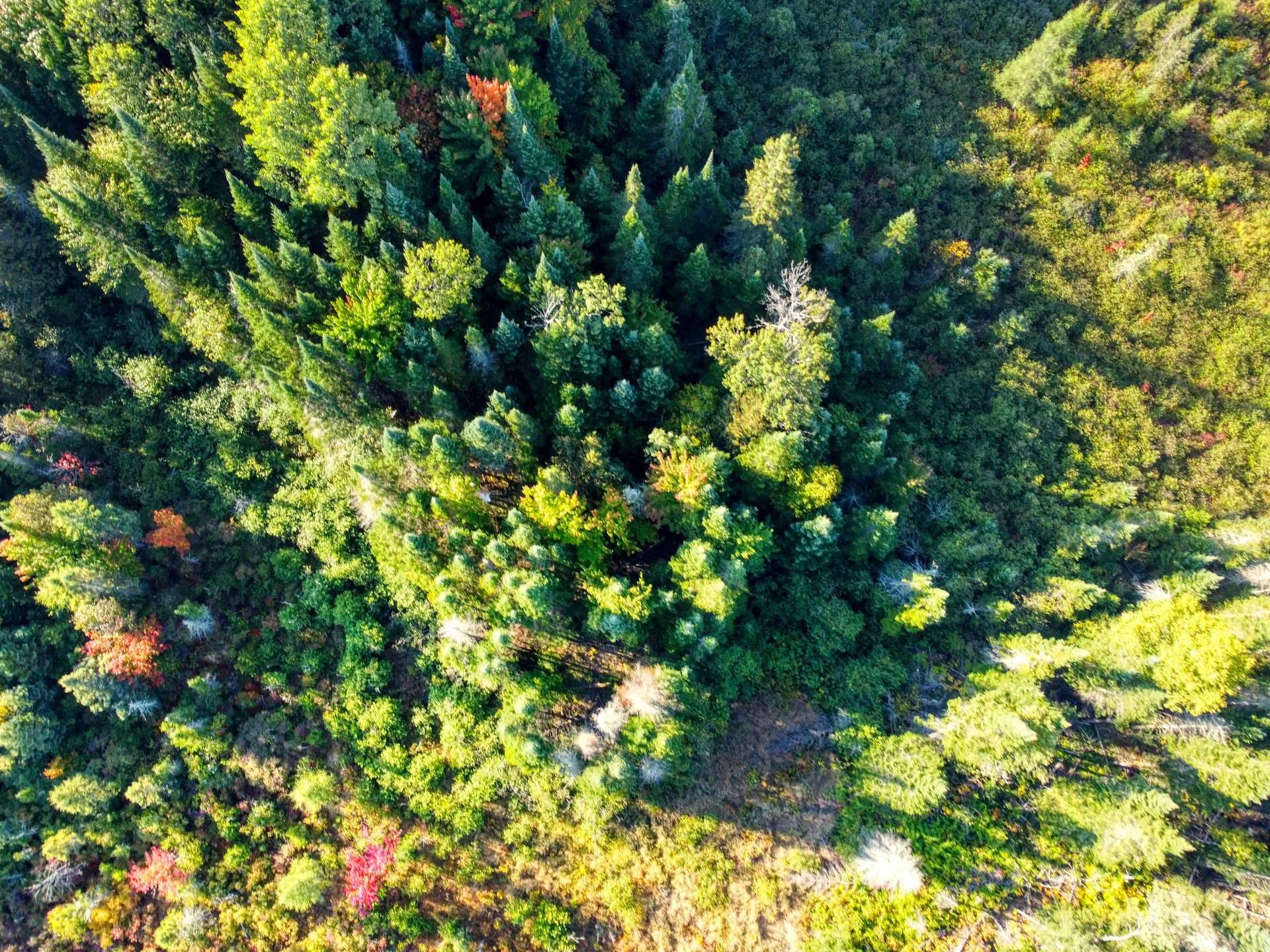 Aerial photo