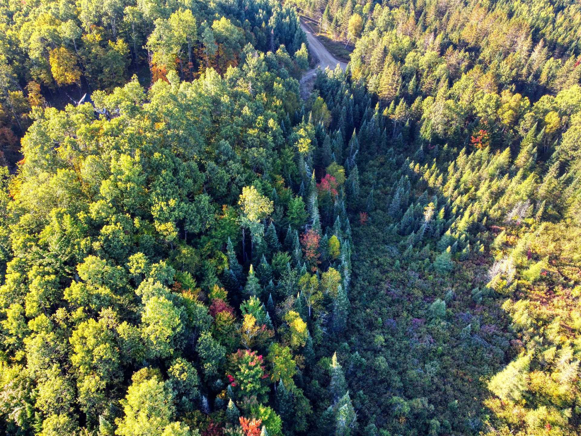 Aerial photo