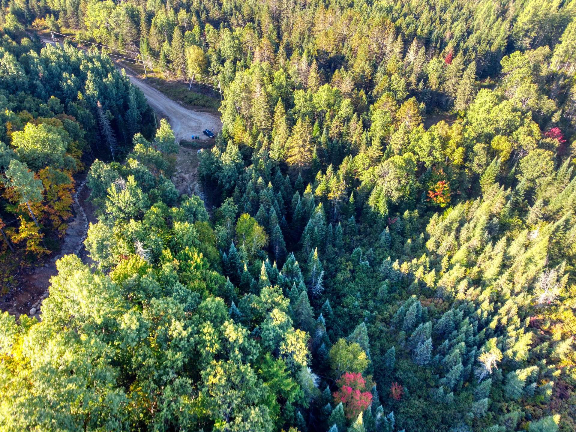 Aerial photo