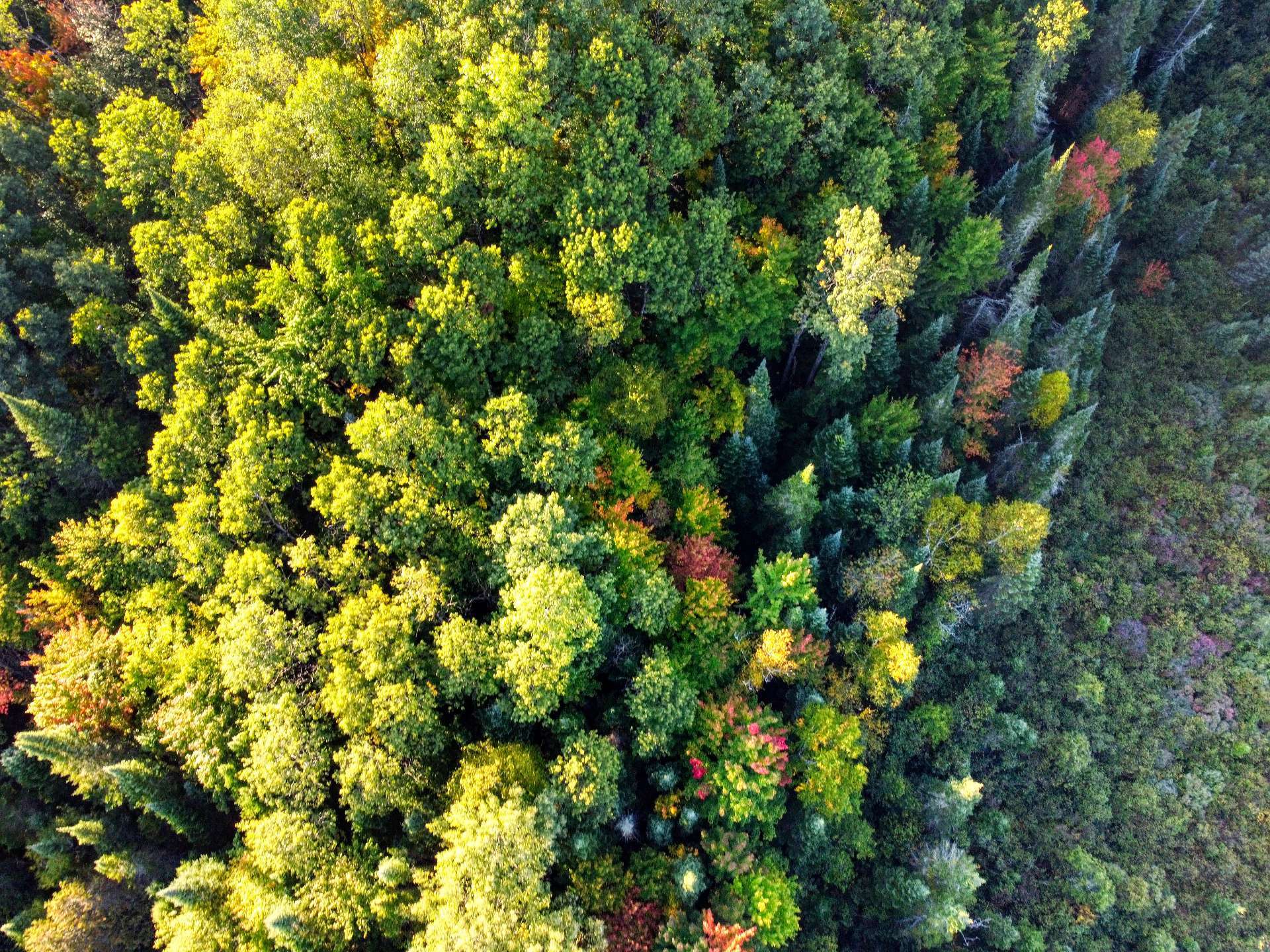 Aerial photo