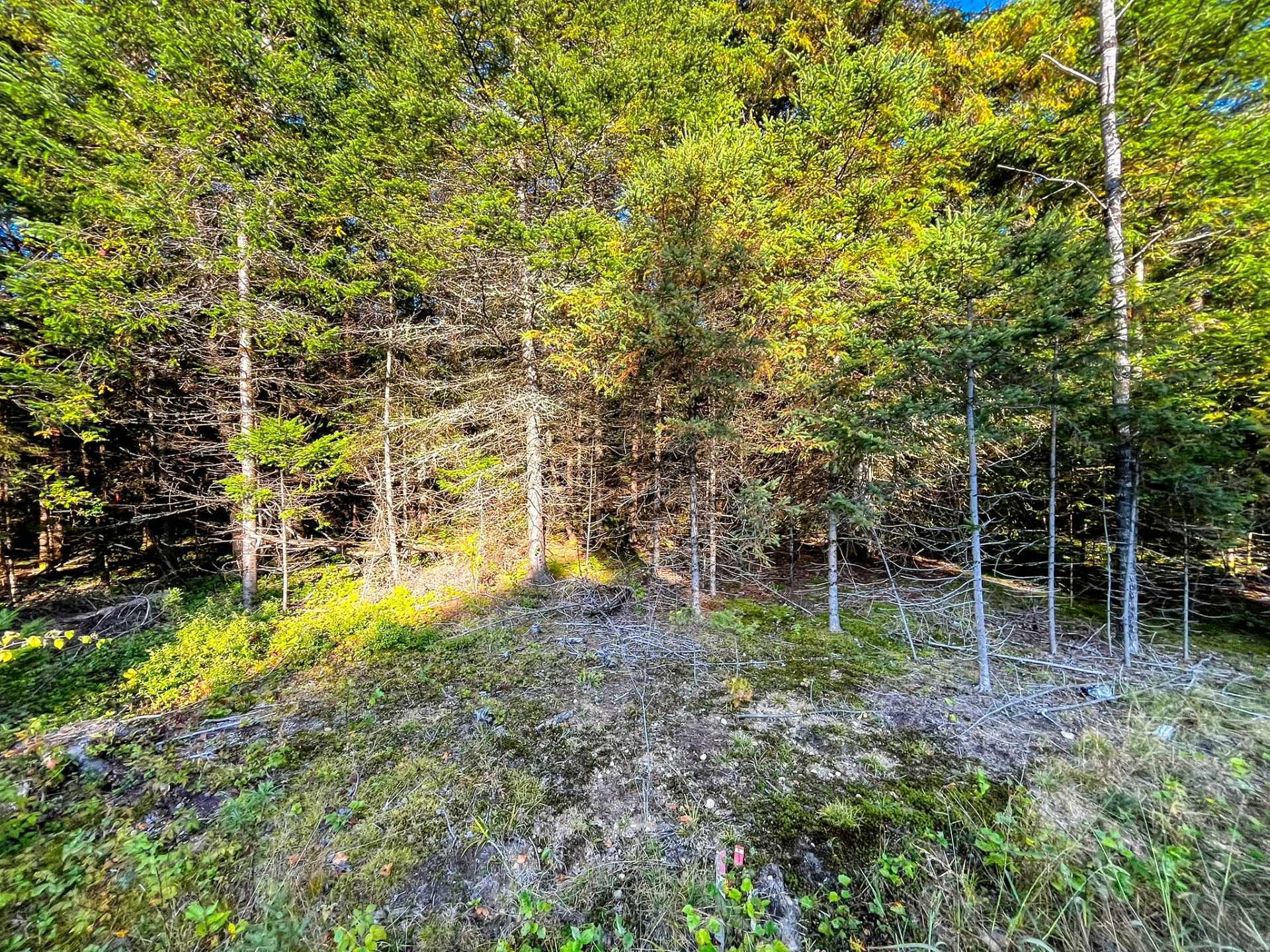 Land/Lot