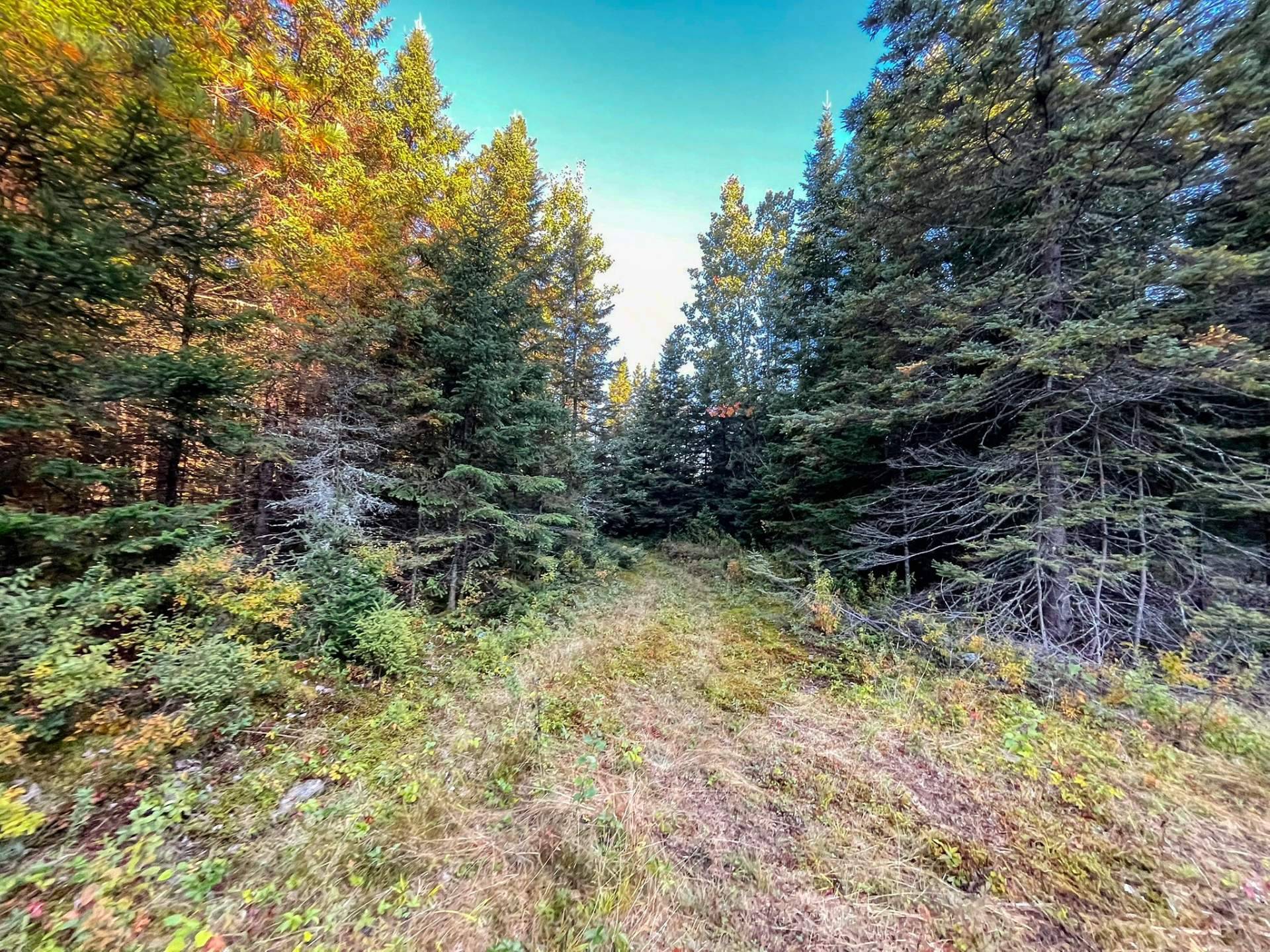 Land/Lot