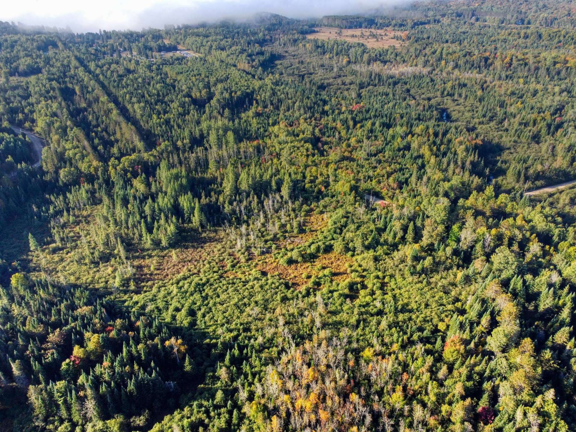 Aerial photo