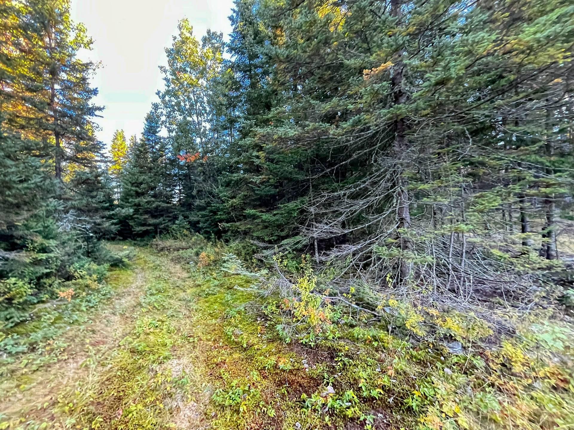 Land/Lot