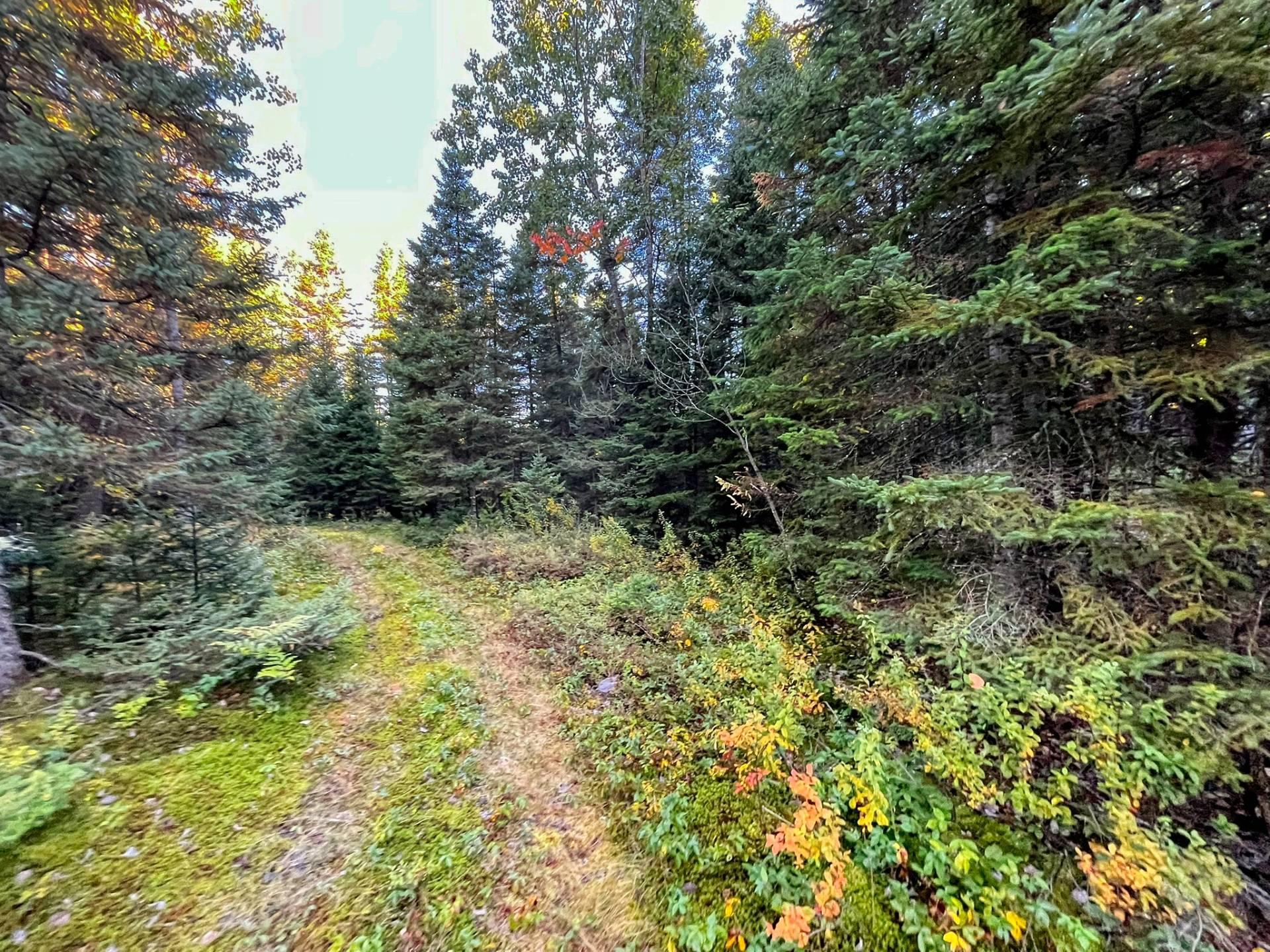 Land/Lot