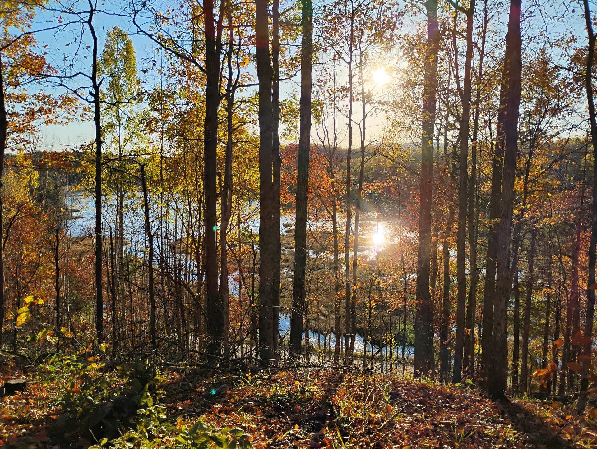 Water view