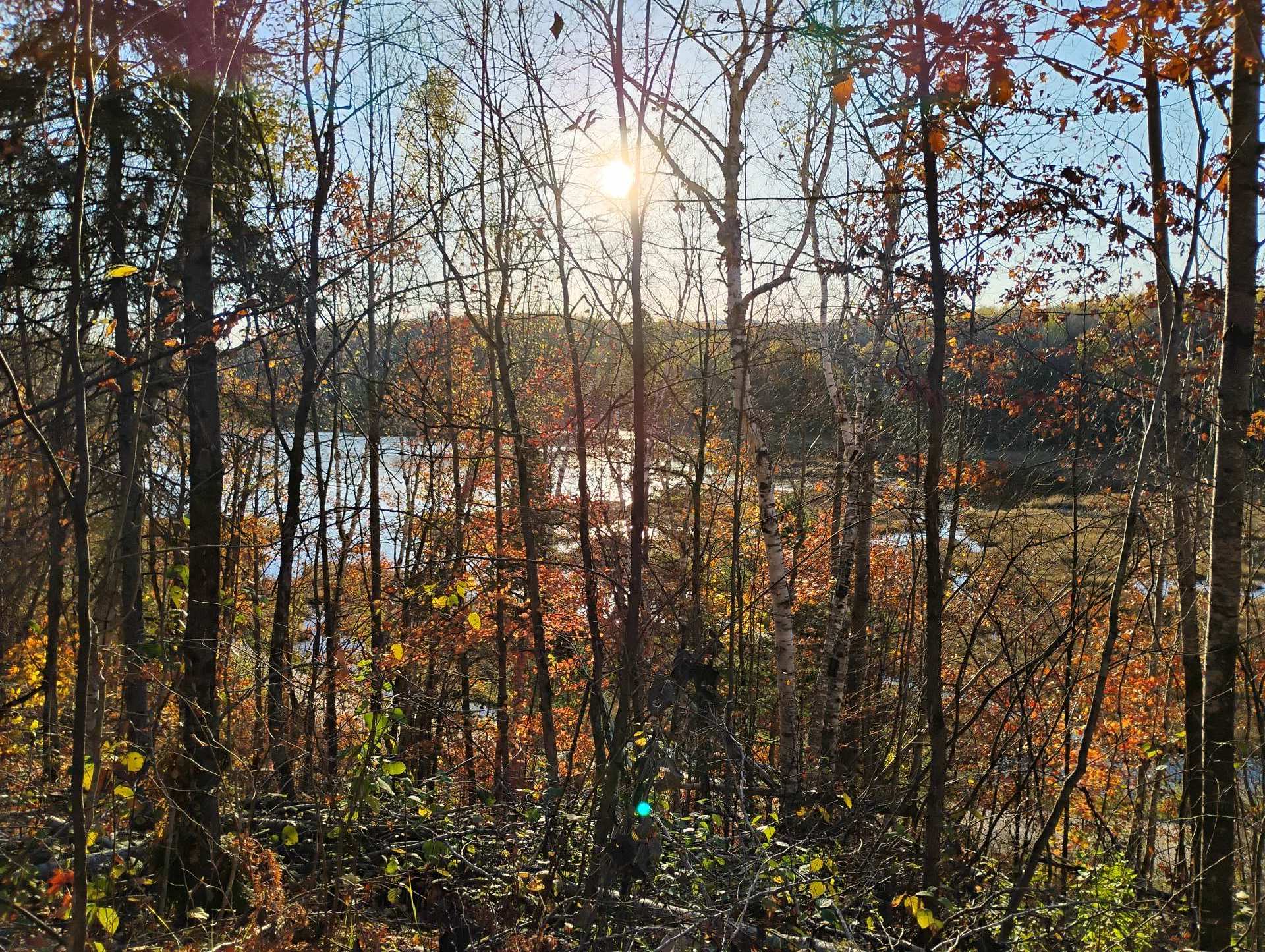 Land/Lot
