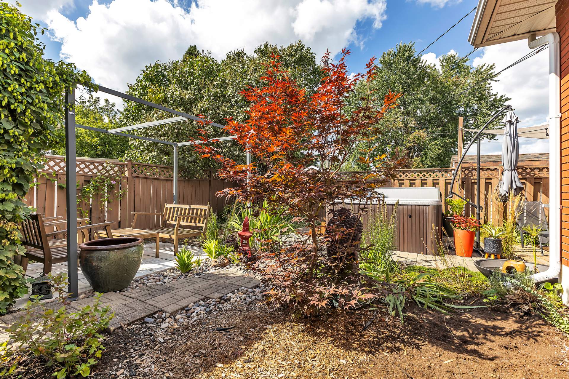 Backyard