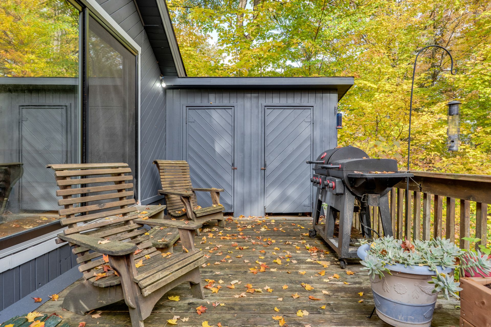 Shed