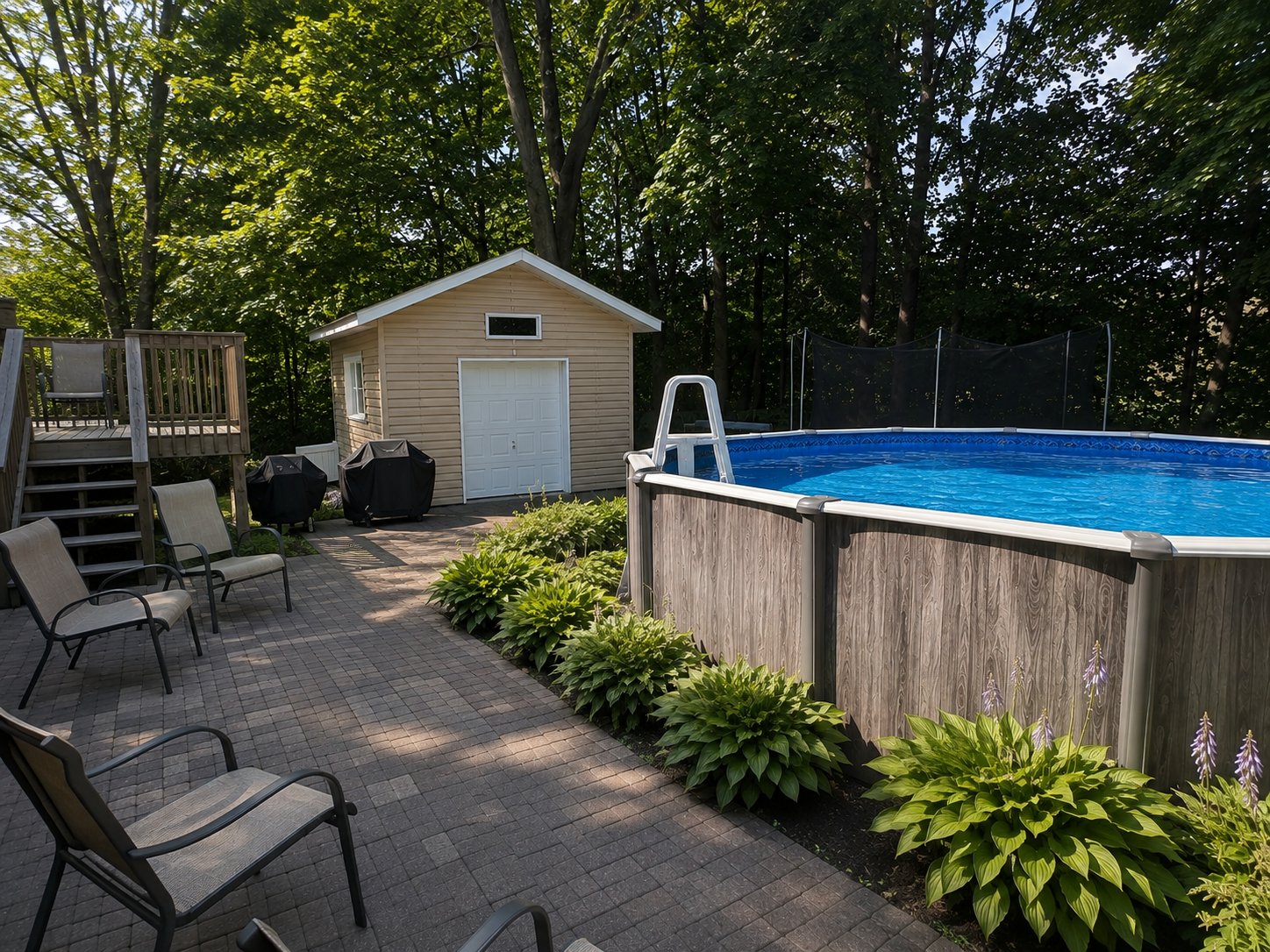 Backyard