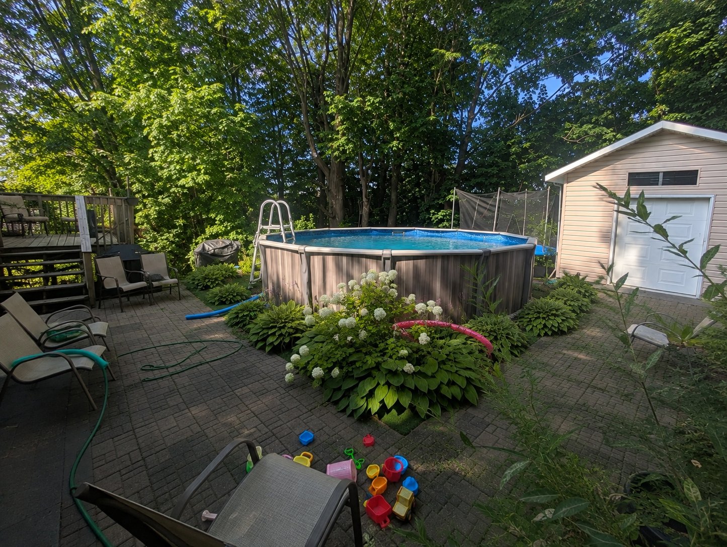 Backyard