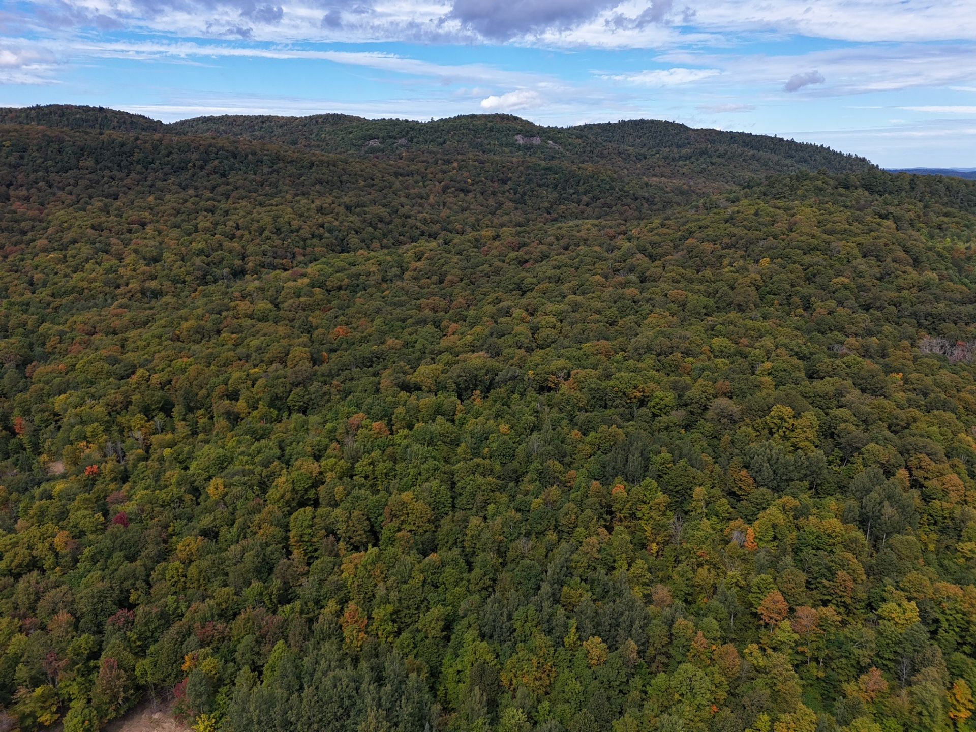 Aerial photo