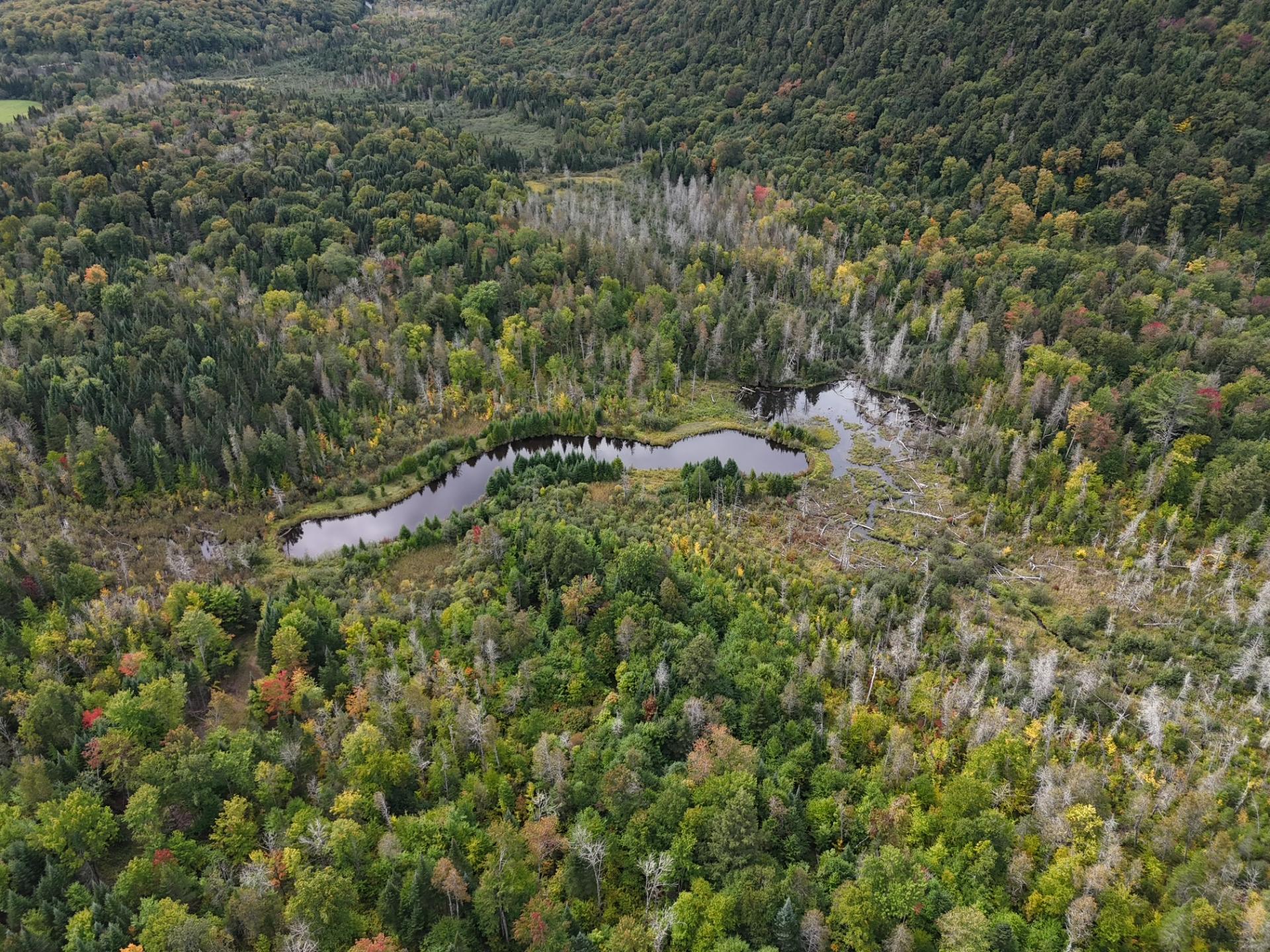 Aerial photo