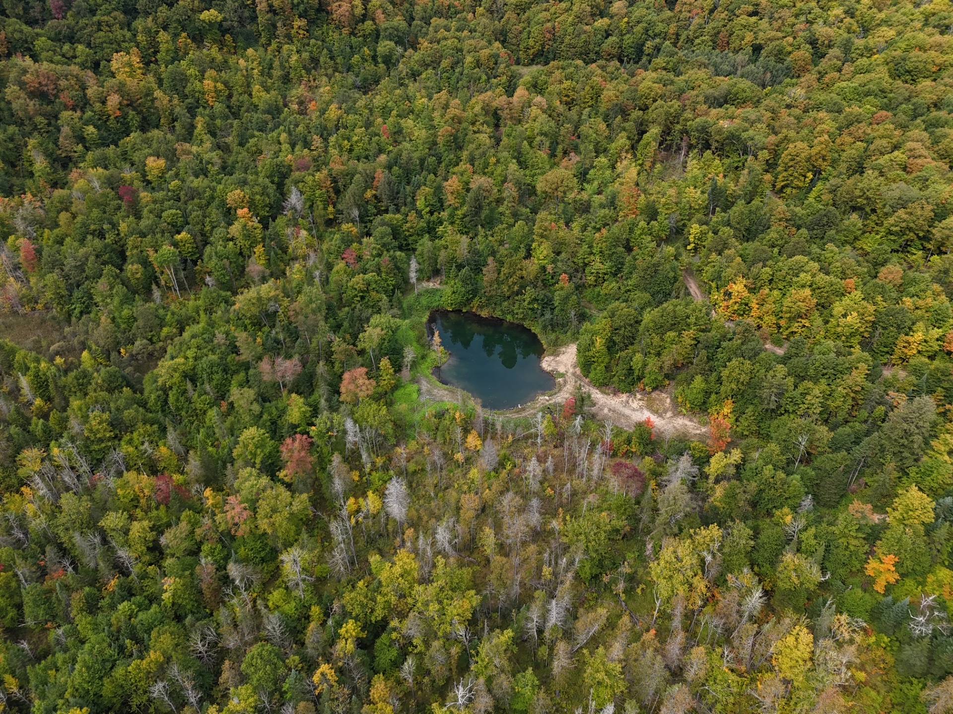 Aerial photo