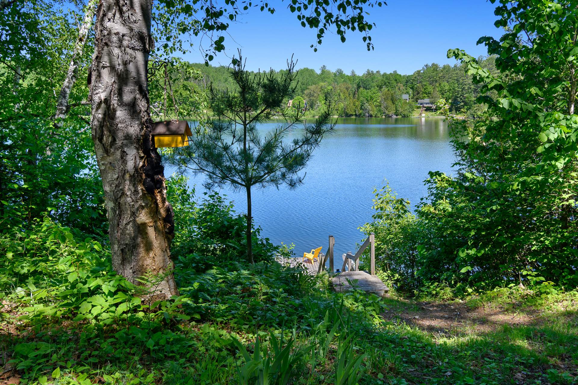 Water view