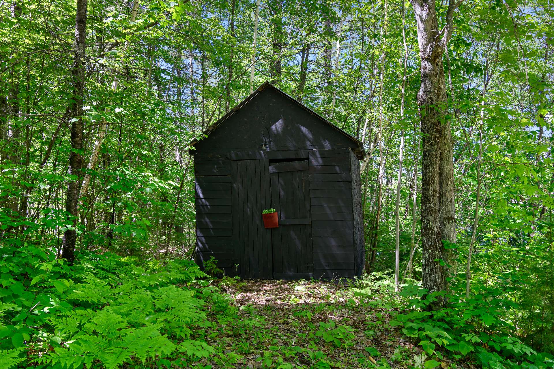 Shed
