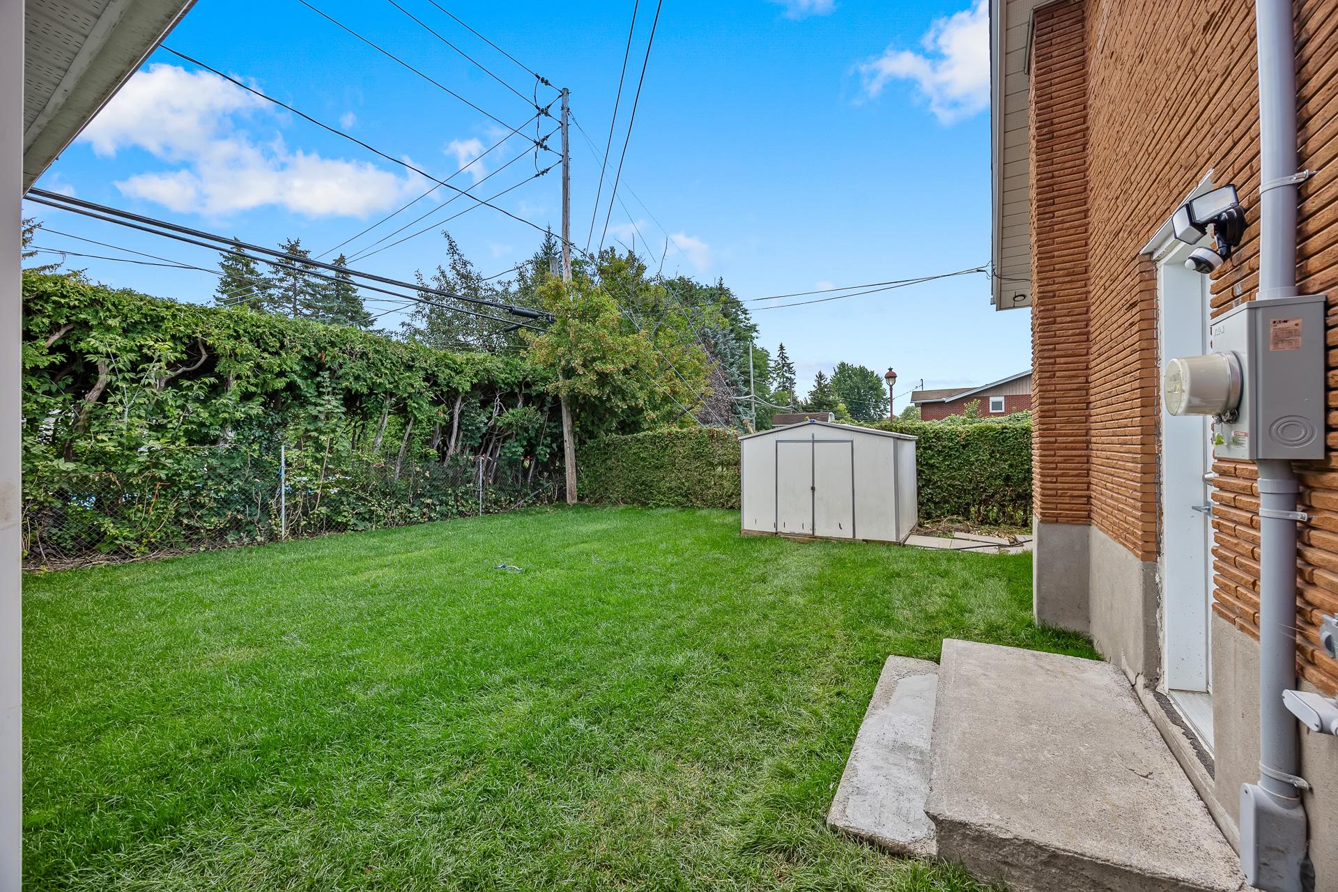 Backyard