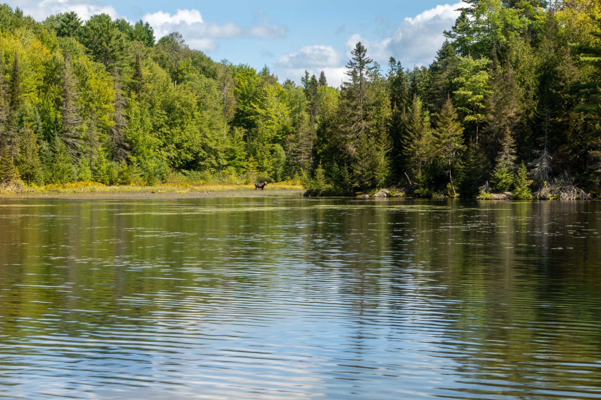Waterfront