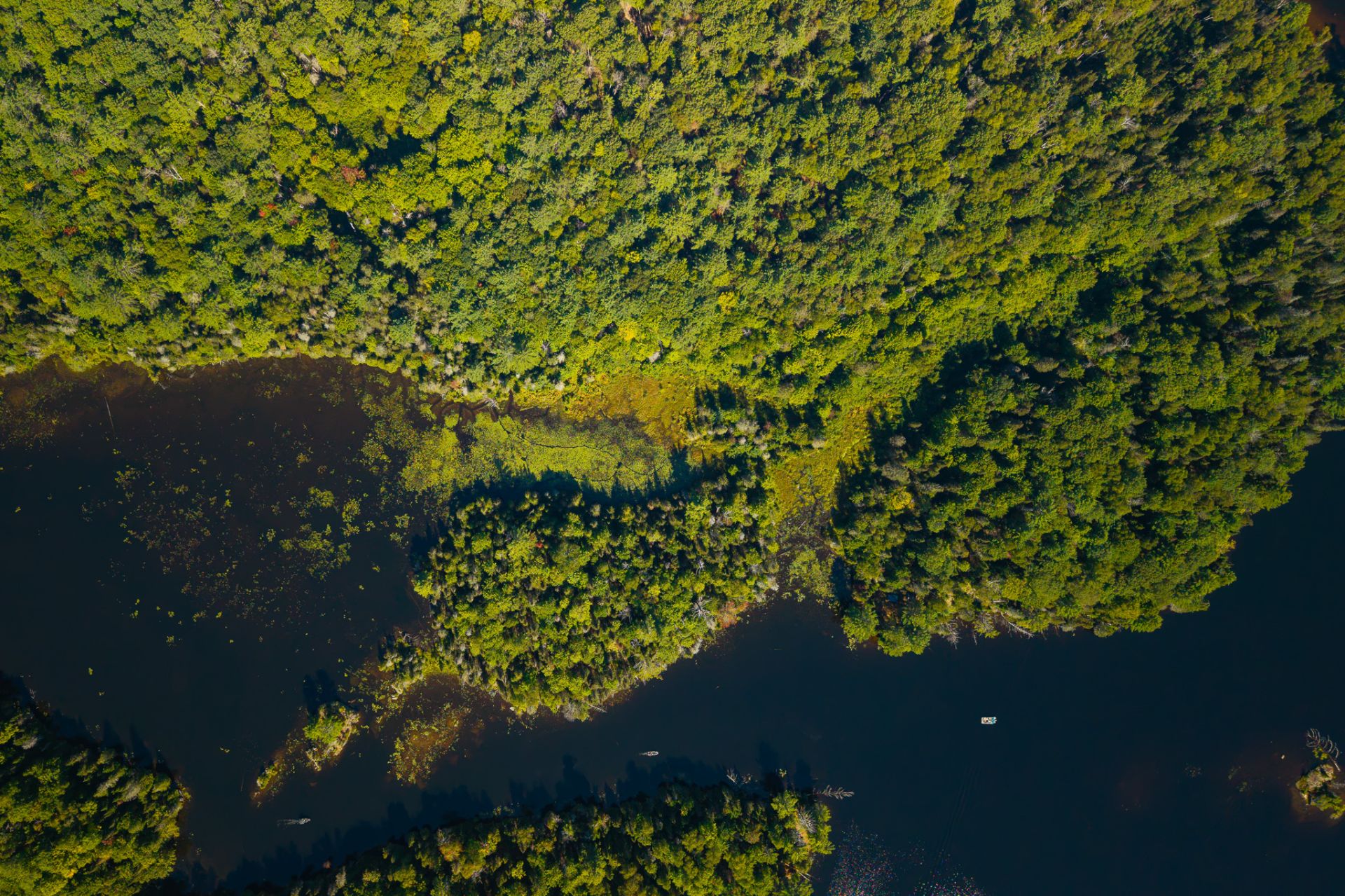 Aerial photo