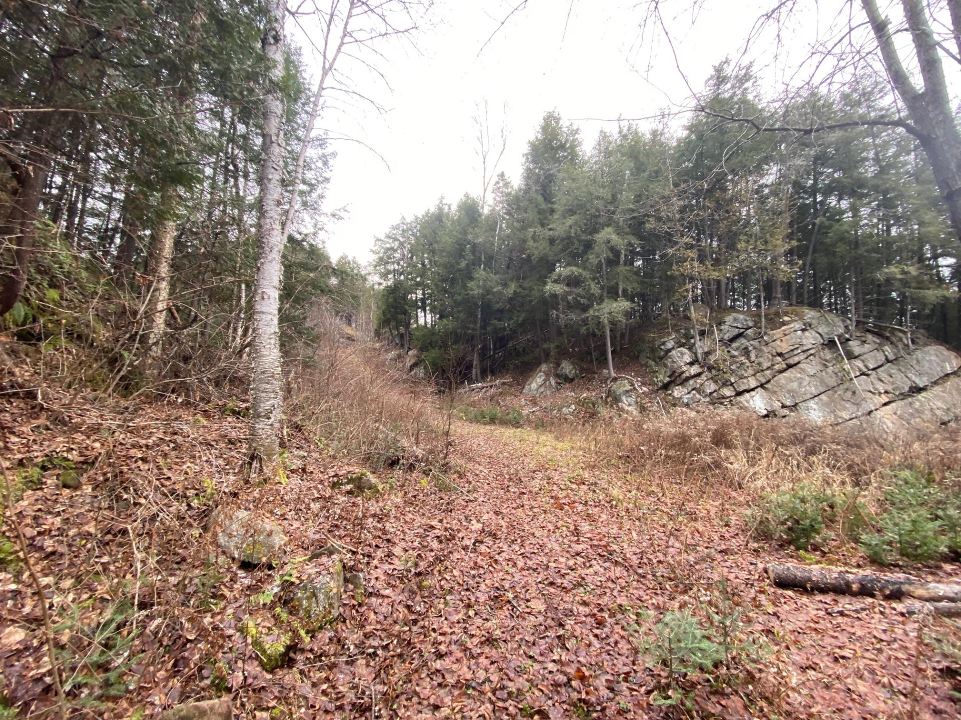 Terre/Terrain