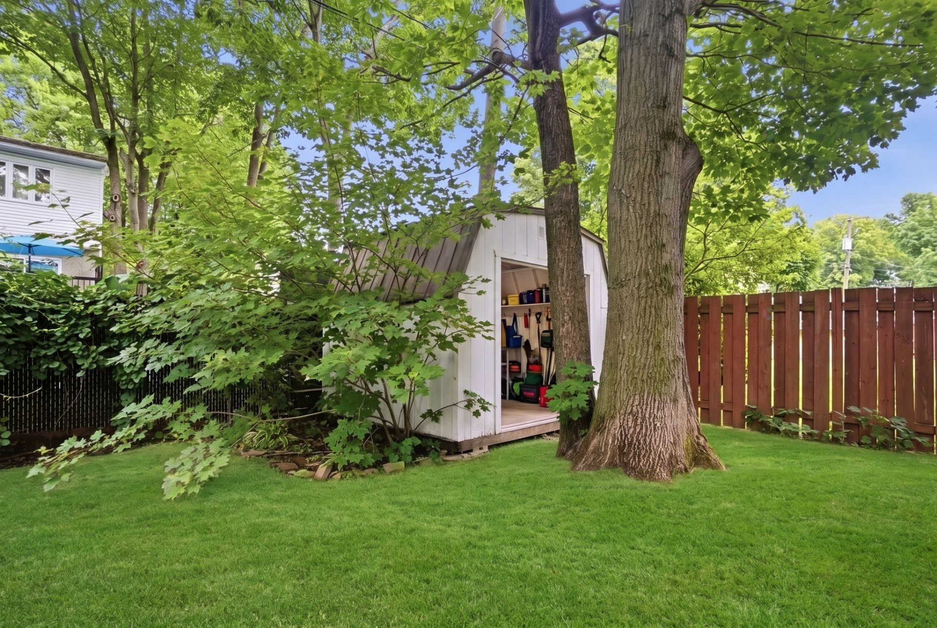 Shed