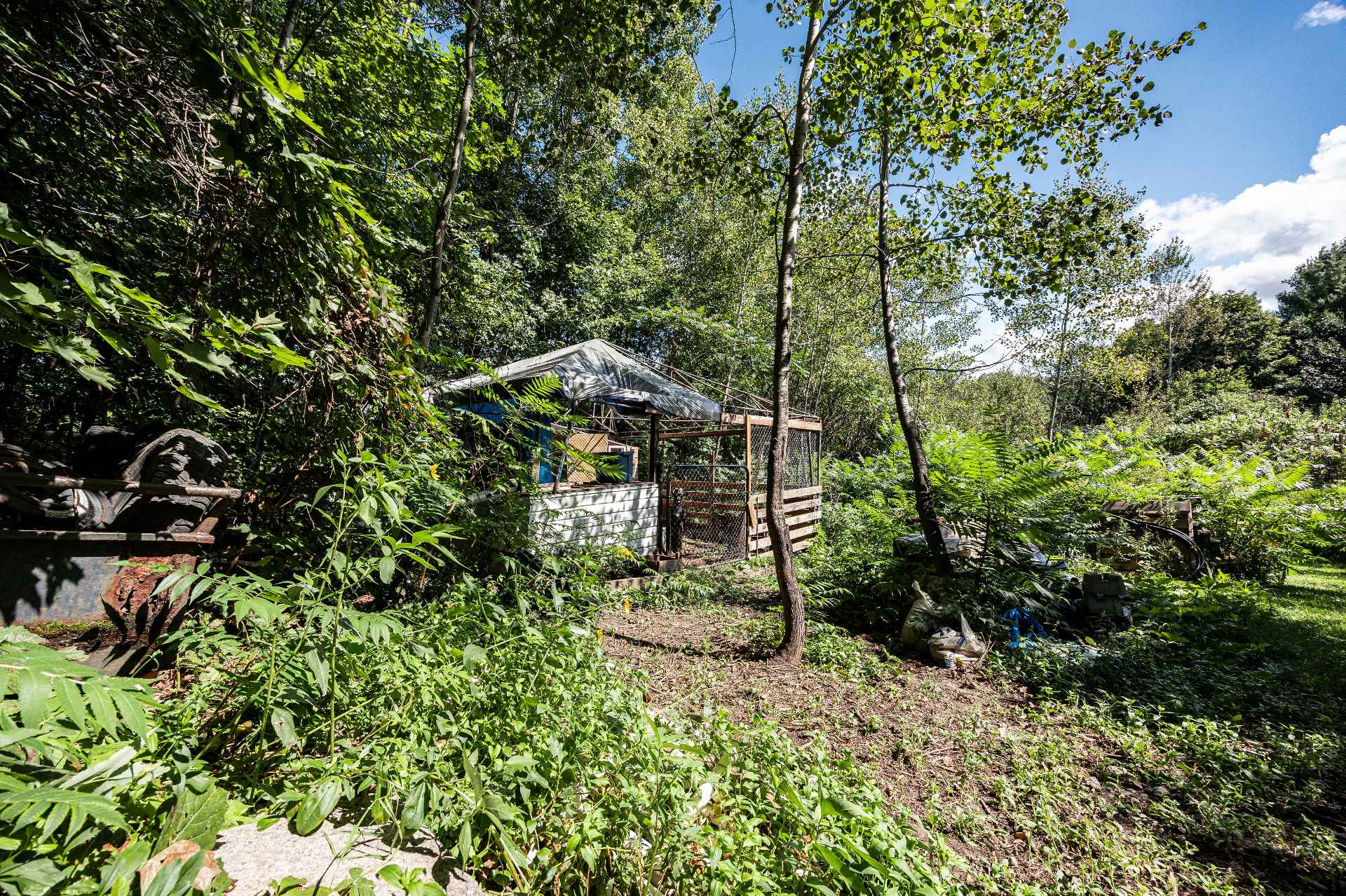 Chicken coop