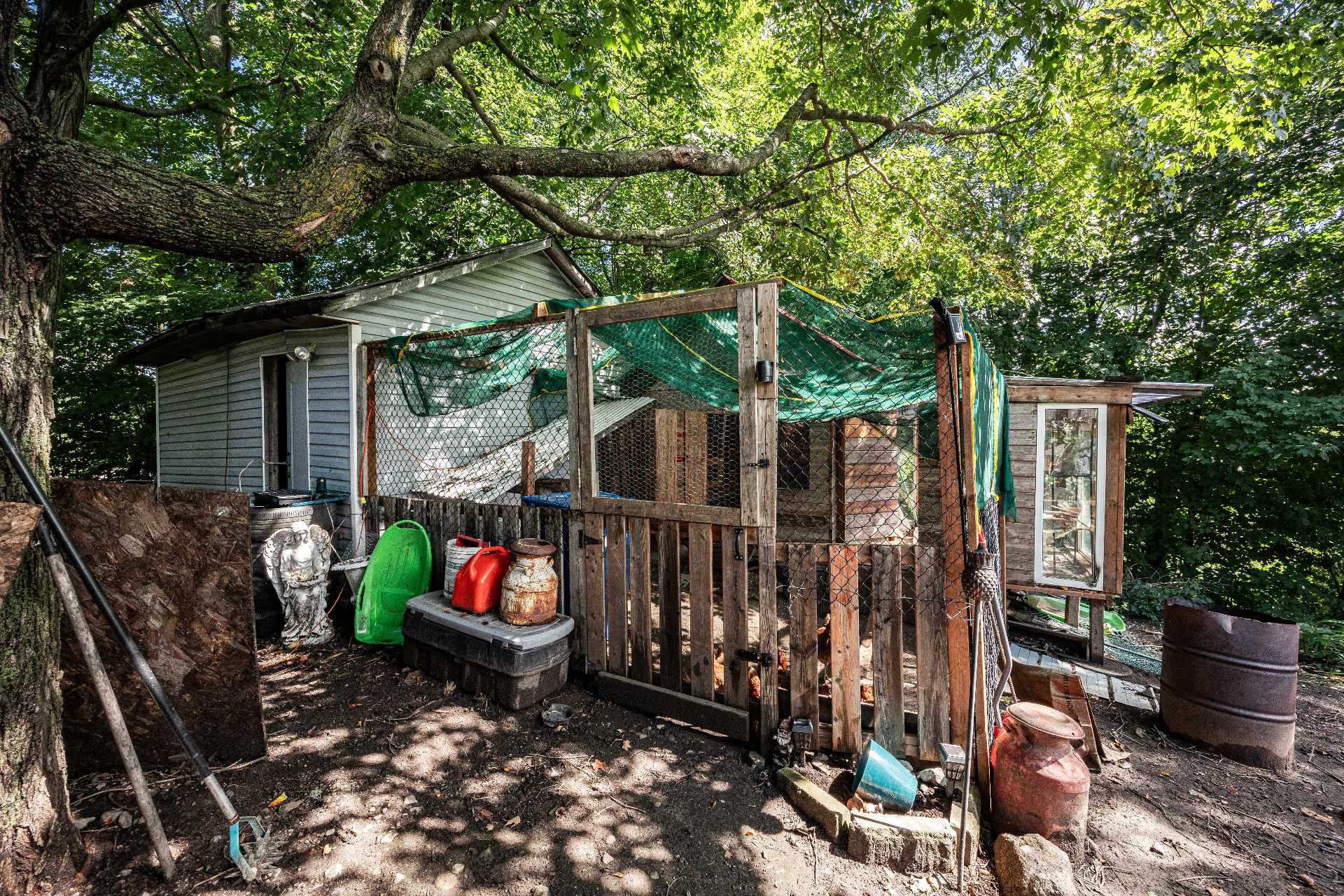 Chicken coop