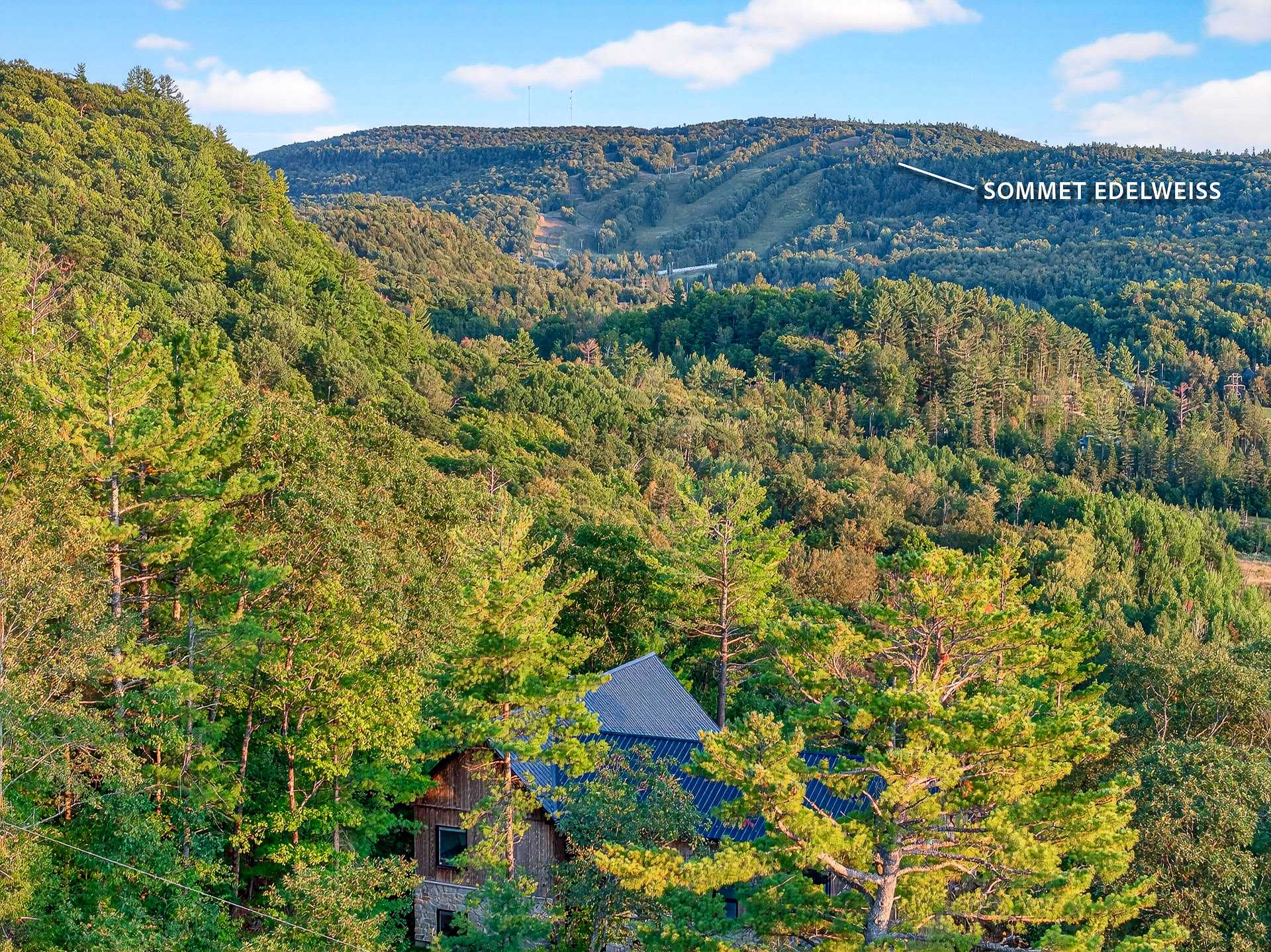 View - Edelweiss Ski Center
