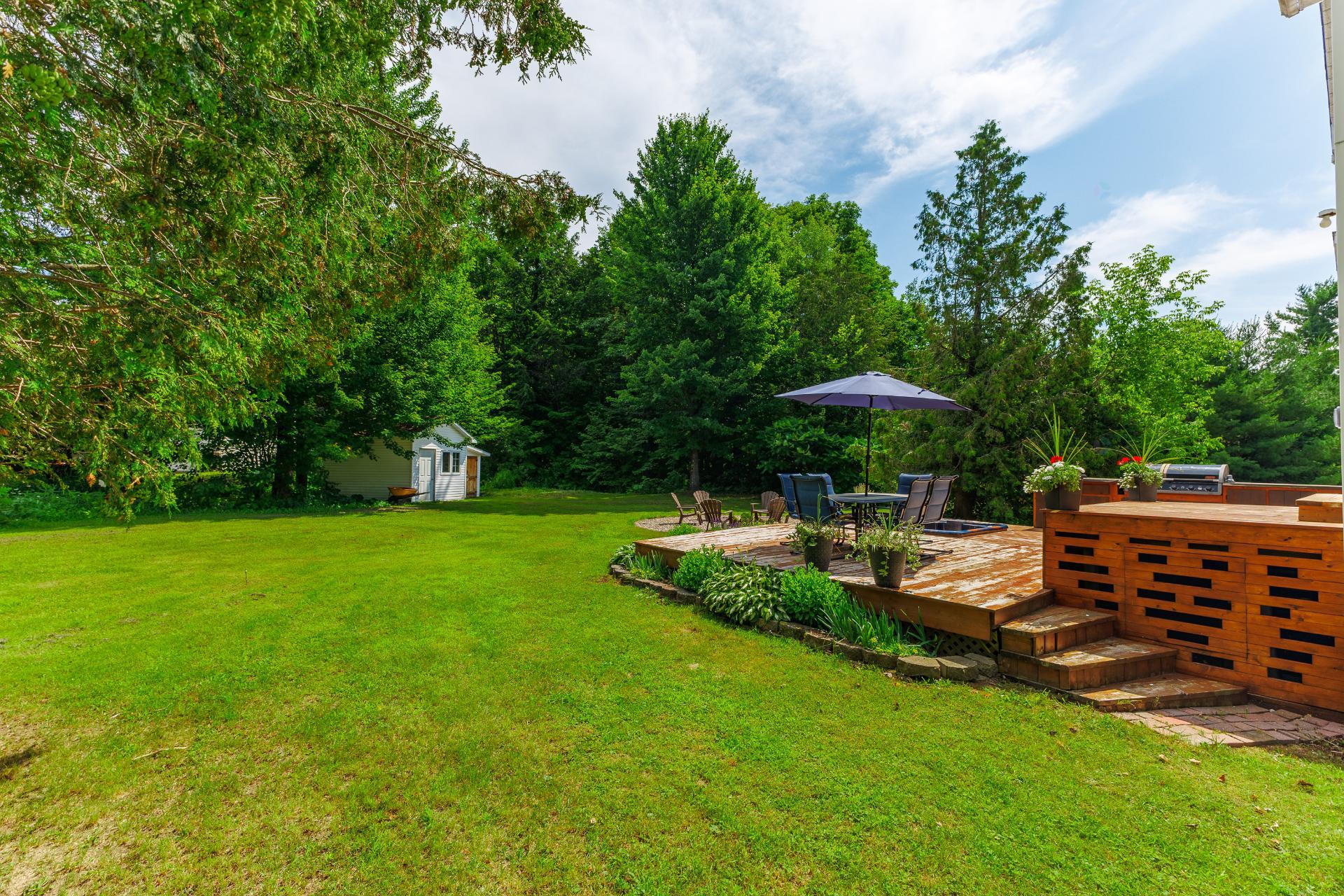 Backyard