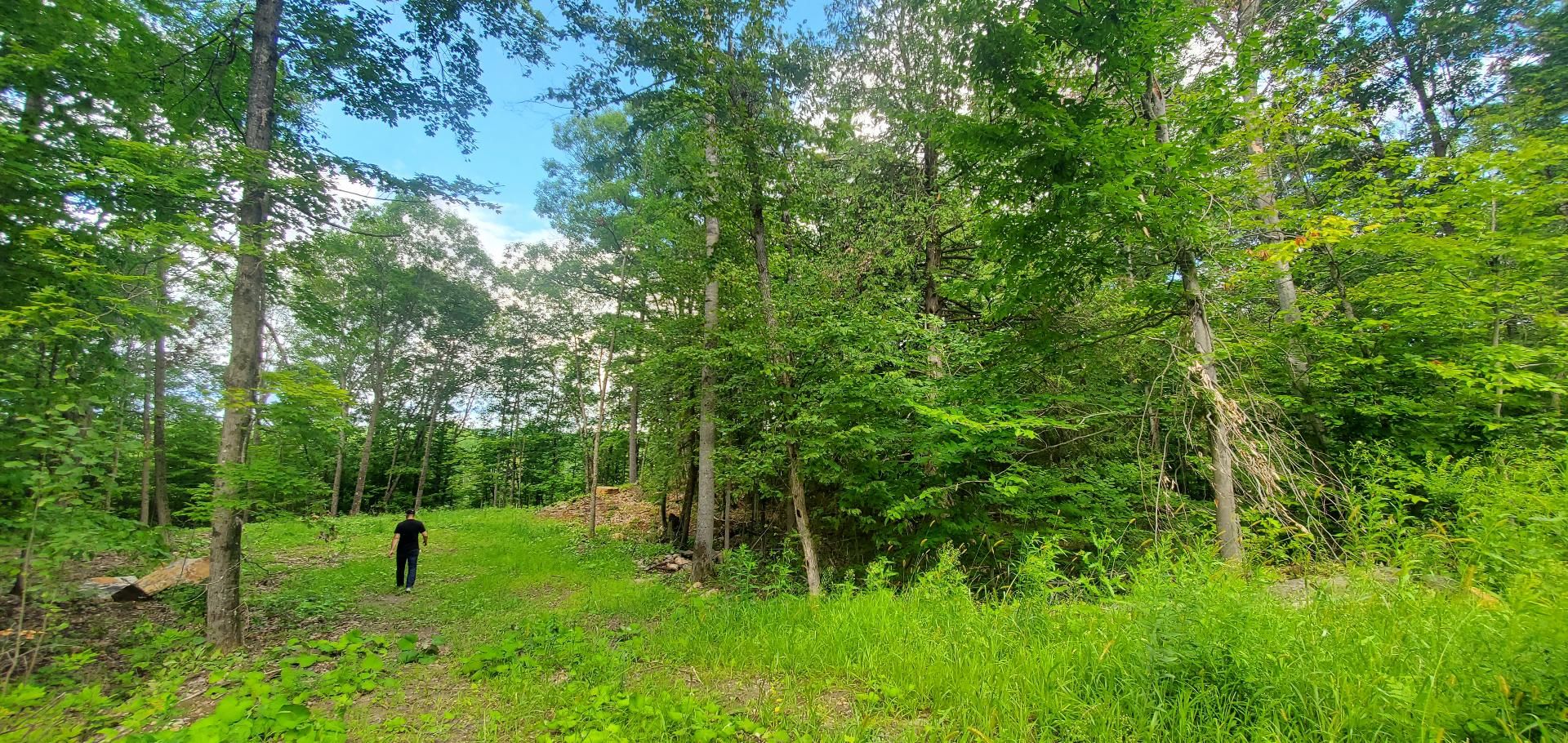 Terre/Terrain