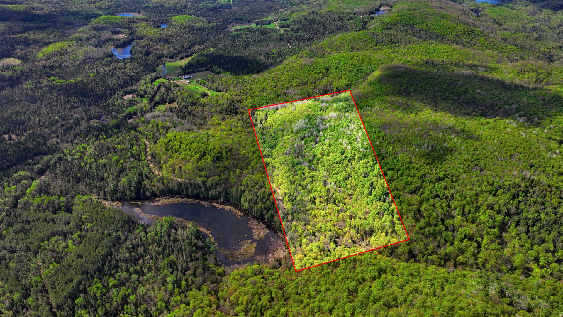 Aerial photo