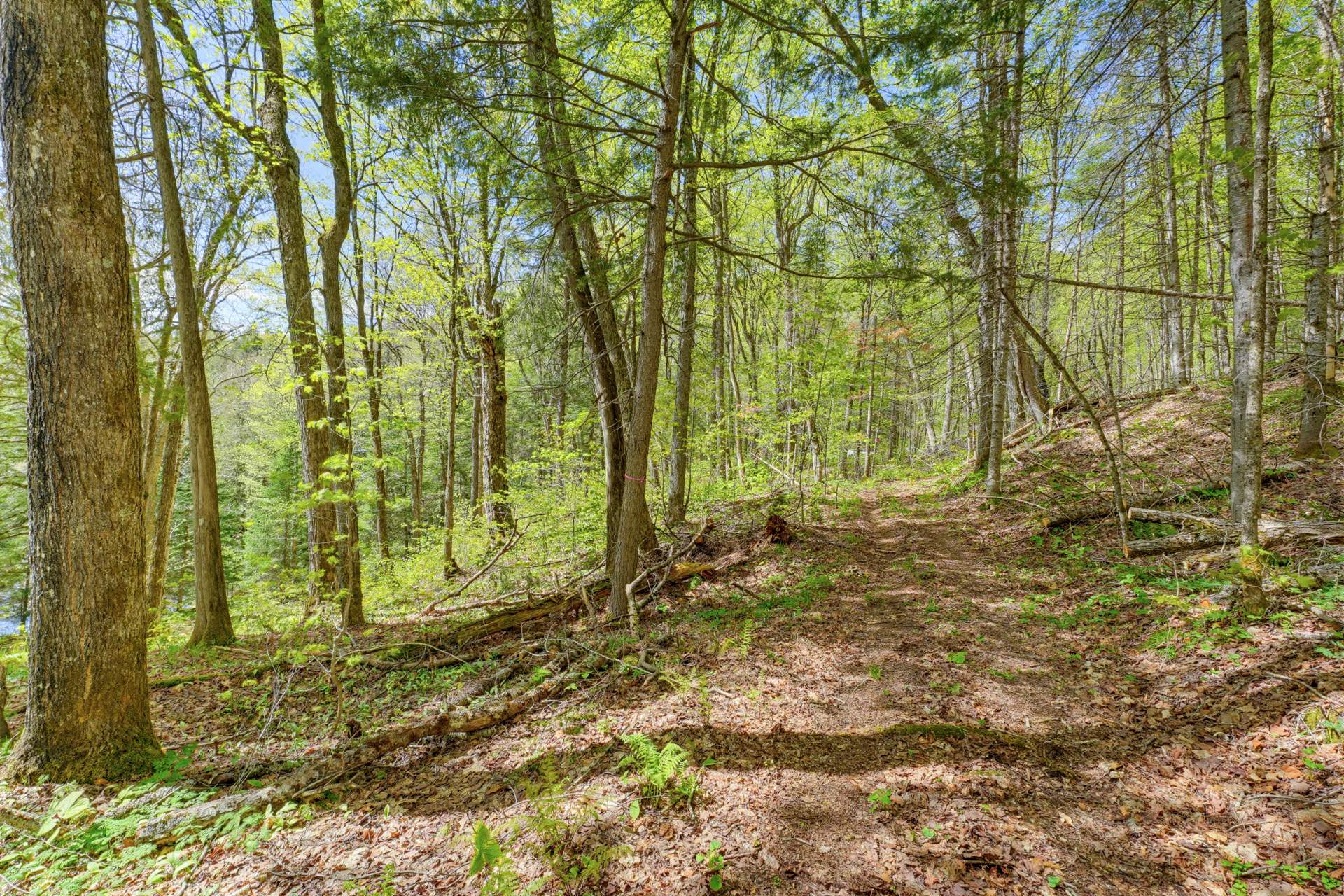 Land/Lot