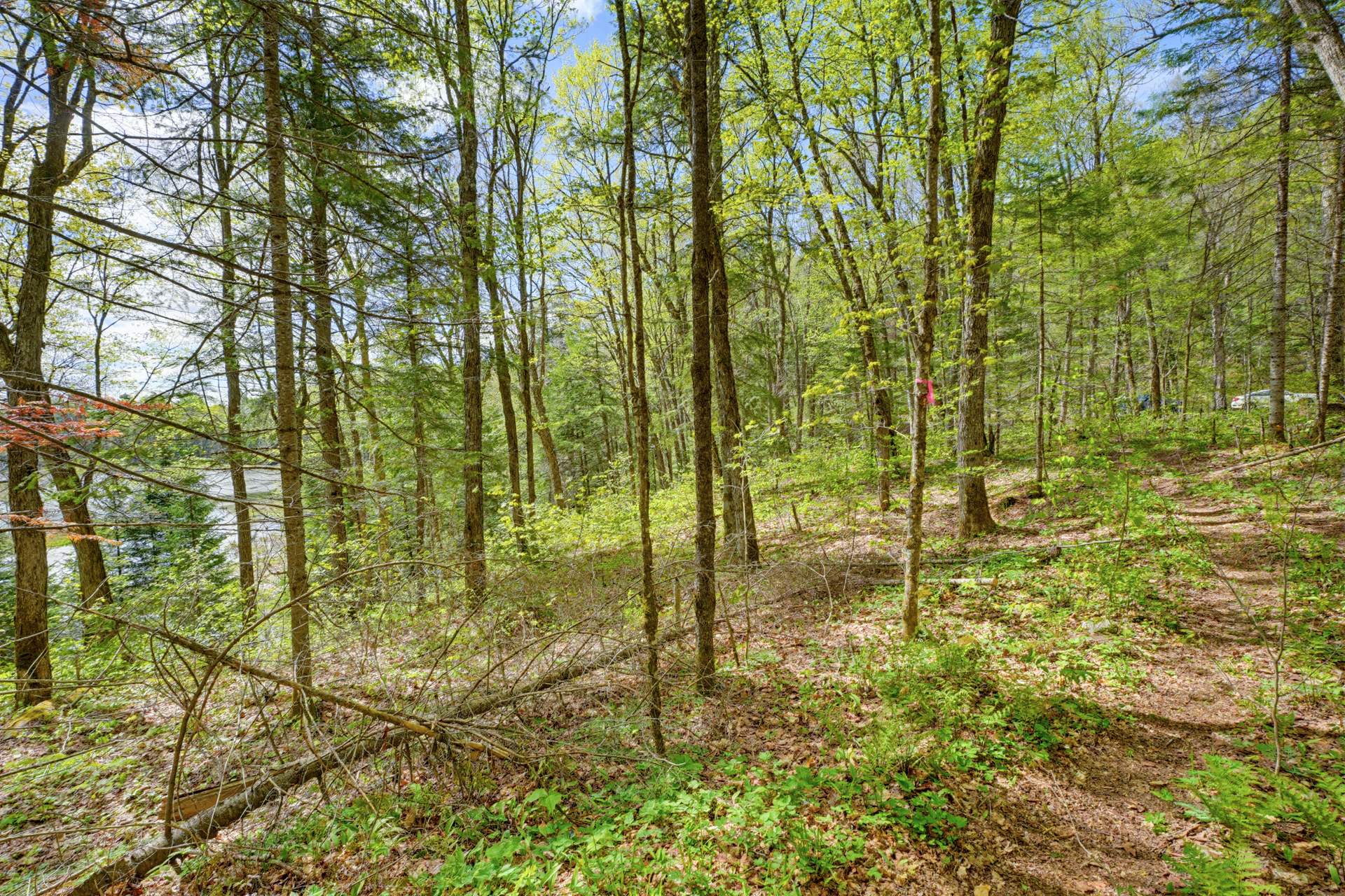 Land/Lot